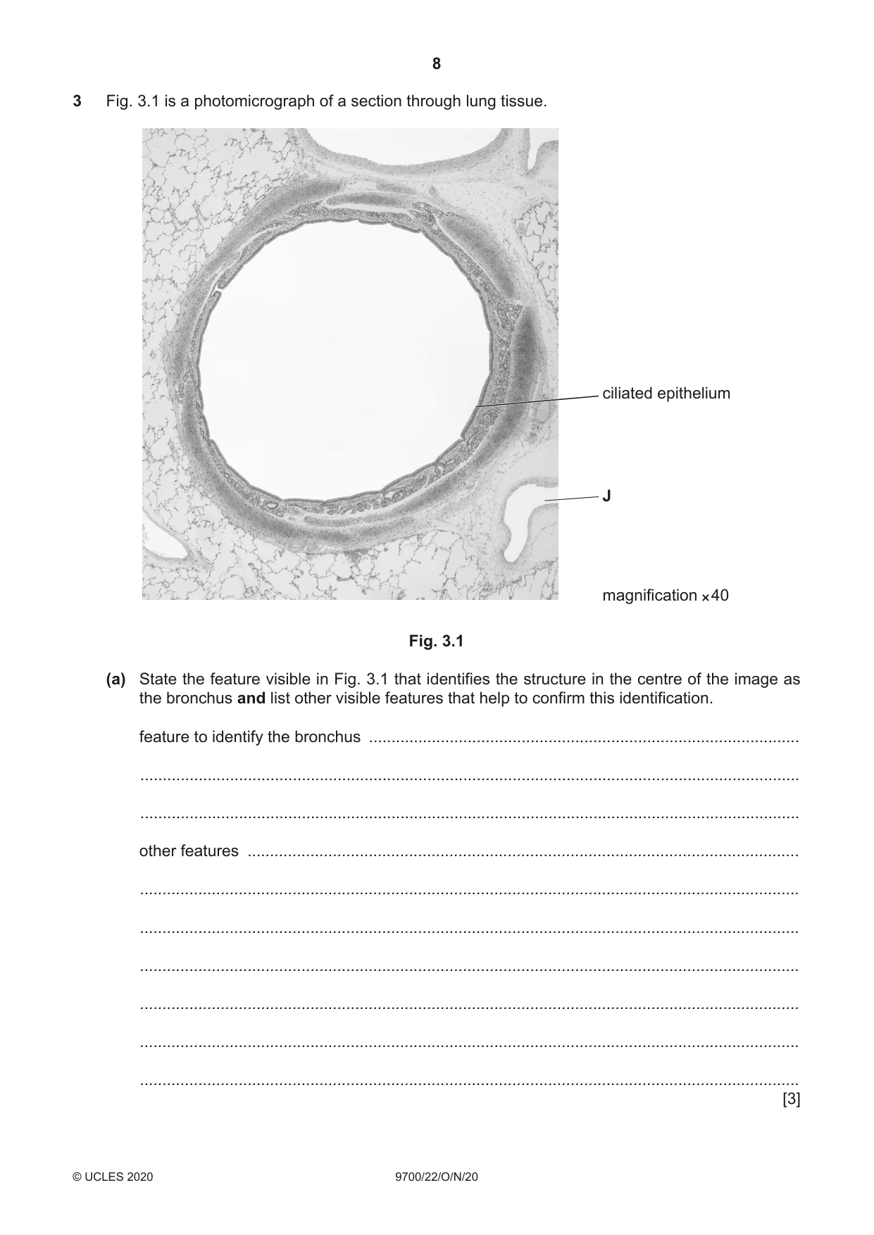 Cambridge A Level Biology 9700 2020 Oct/Nov Paper 2 · Variant 2 question paper, page 8 of 20