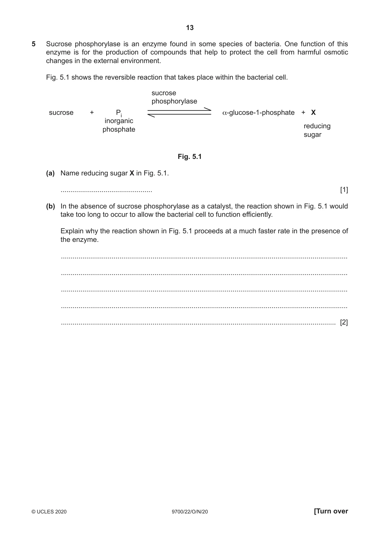 Cambridge A Level Biology 9700 2020 Oct/Nov Paper 2 · Variant 2 question paper, page 13 of 20