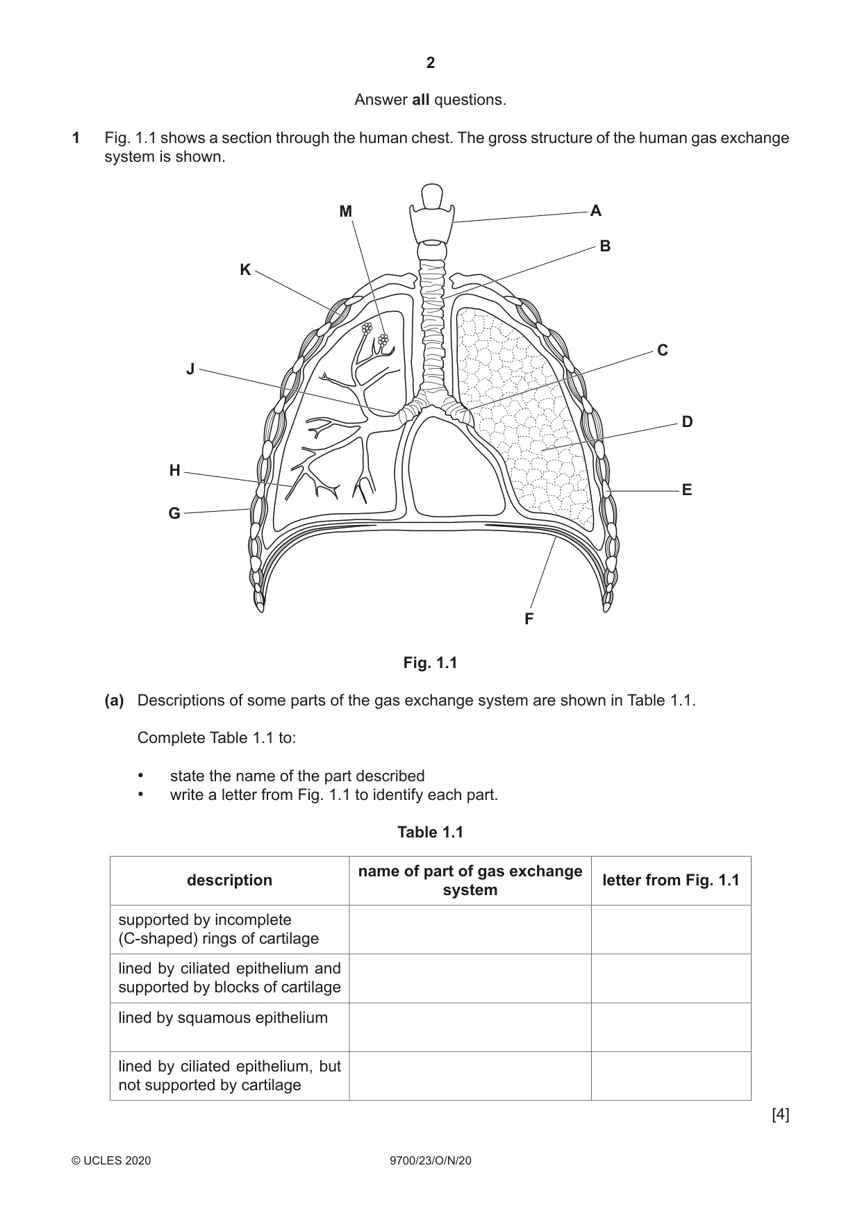 Cambridge A Level Biology 9700 2020 Oct/Nov Paper 2 · Variant 3 question paper, page 2 of 16