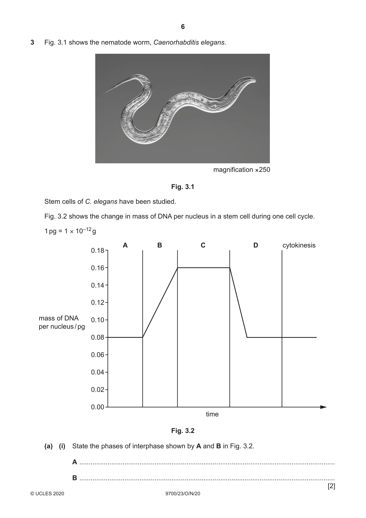 Cambridge A Level Biology 9700 2020 Oct/Nov Paper 2 · Variant 3 question paper, page 6 of 16