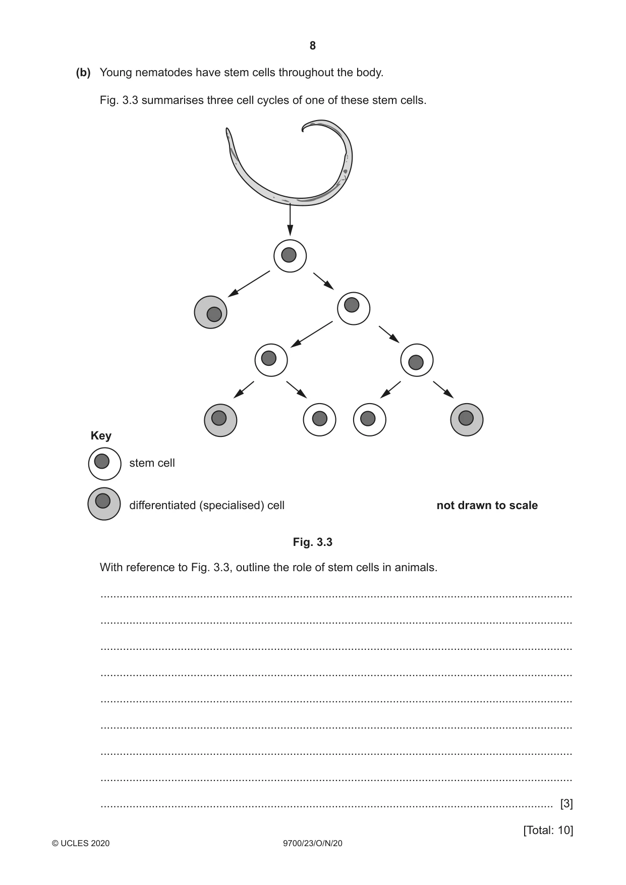 Cambridge A Level Biology 9700 2020 Oct/Nov Paper 2 · Variant 3 question paper, page 8 of 16
