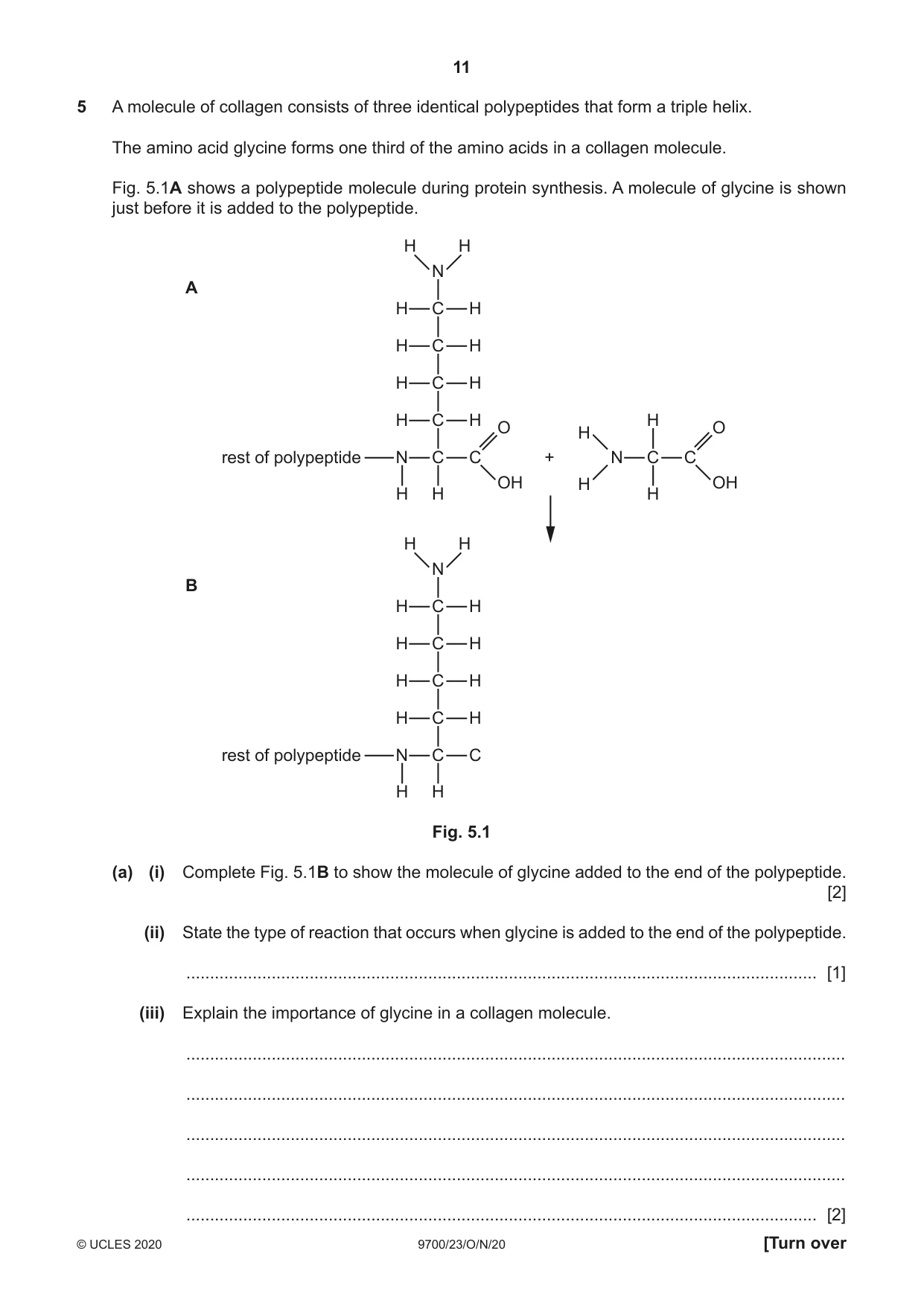 Cambridge A Level Biology 9700 2020 Oct/Nov Paper 2 · Variant 3 question paper, page 11 of 16
