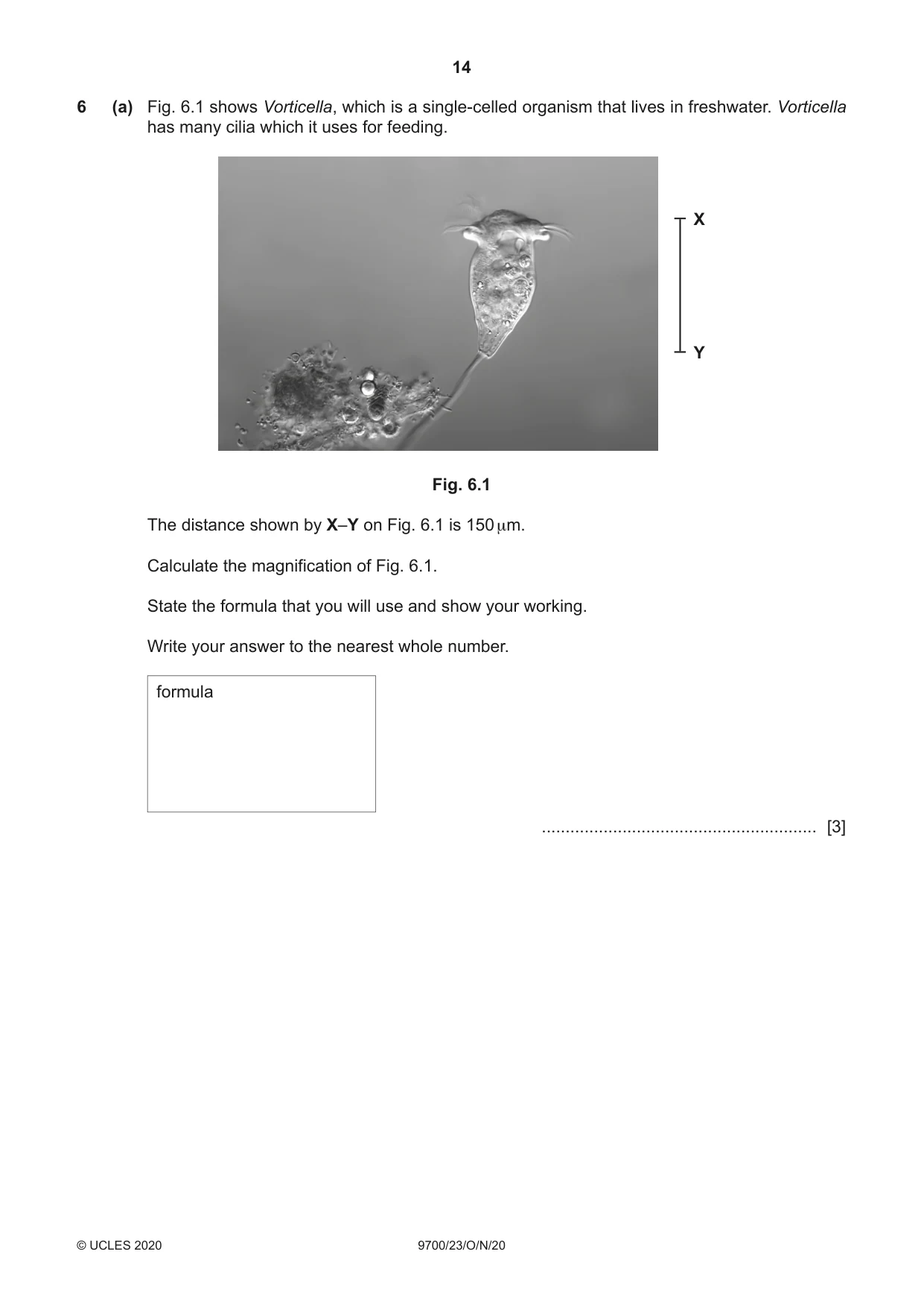 Cambridge A Level Biology 9700 2020 Oct/Nov Paper 2 · Variant 3 question paper, page 14 of 16