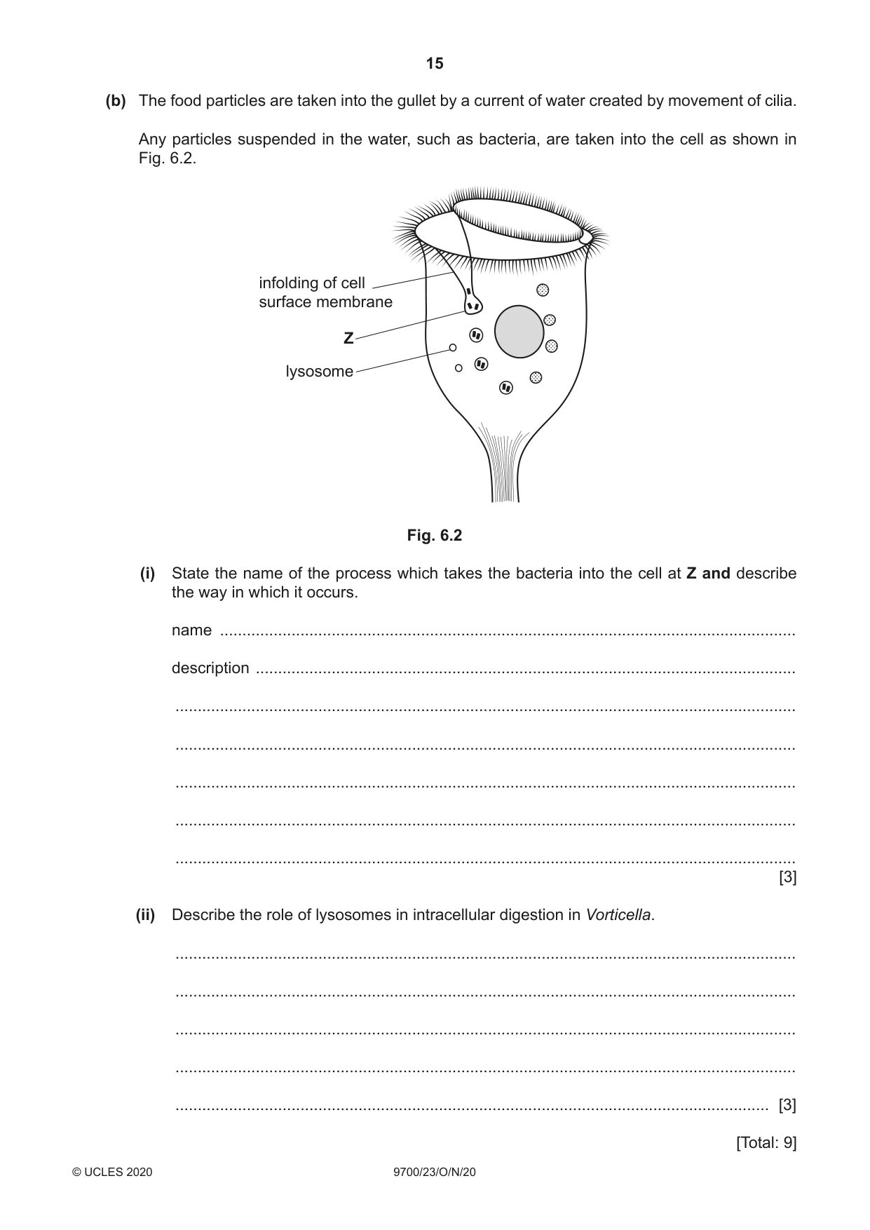 Cambridge A Level Biology 9700 2020 Oct/Nov Paper 2 · Variant 3 question paper, page 15 of 16