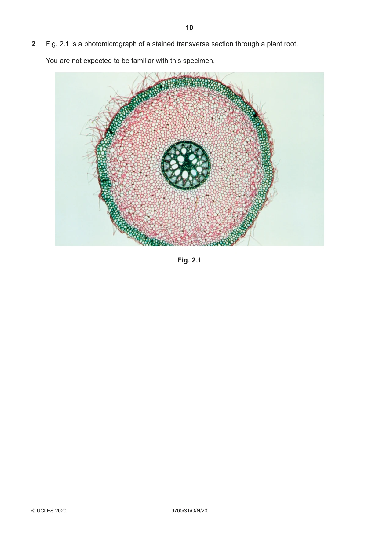Cambridge A Level Biology 9700 2020 Oct/Nov Paper 3 · Variant 1 question paper, page 10 of 16
