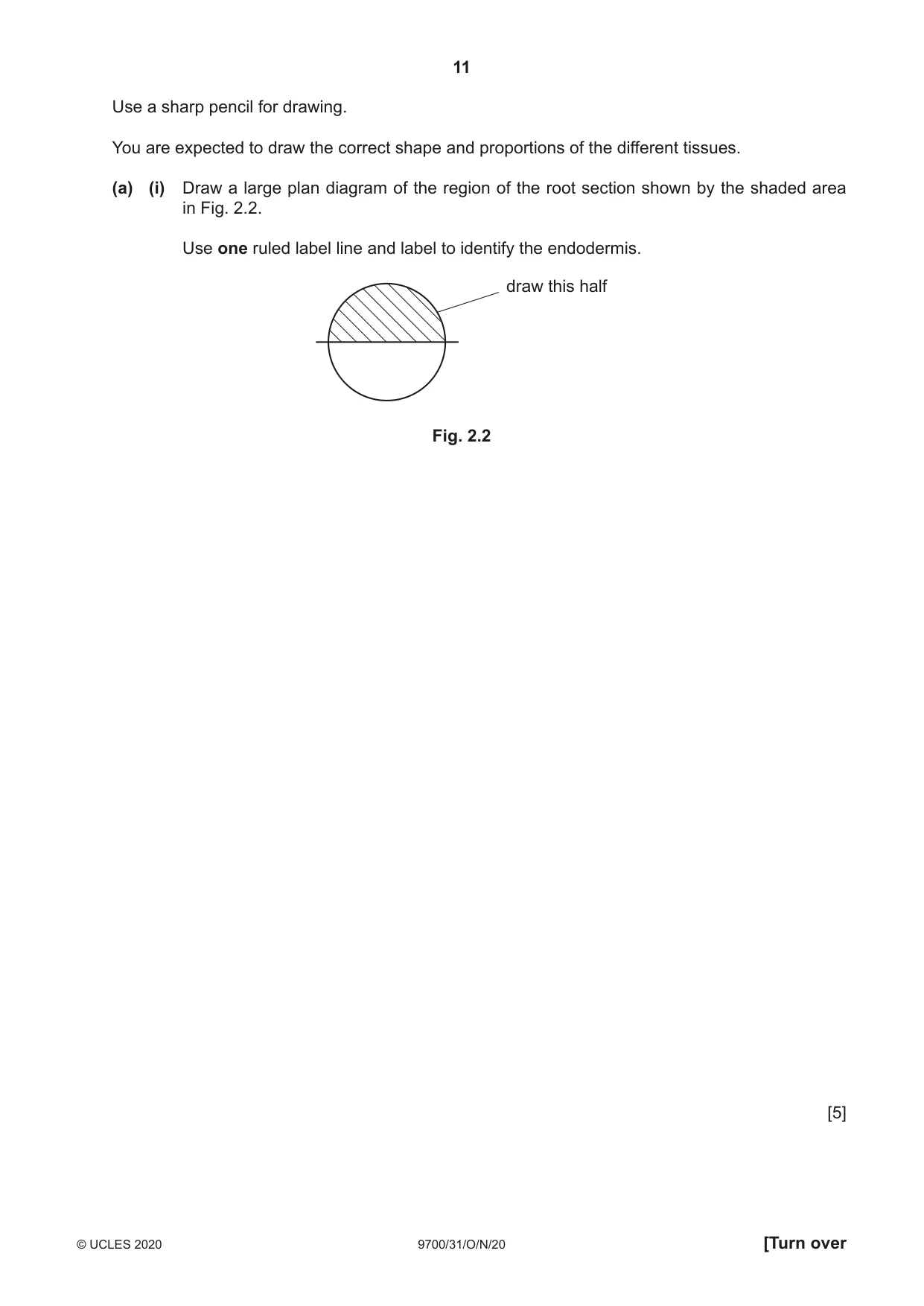 Cambridge A Level Biology 9700 2020 Oct/Nov Paper 3 · Variant 1 question paper, page 11 of 16
