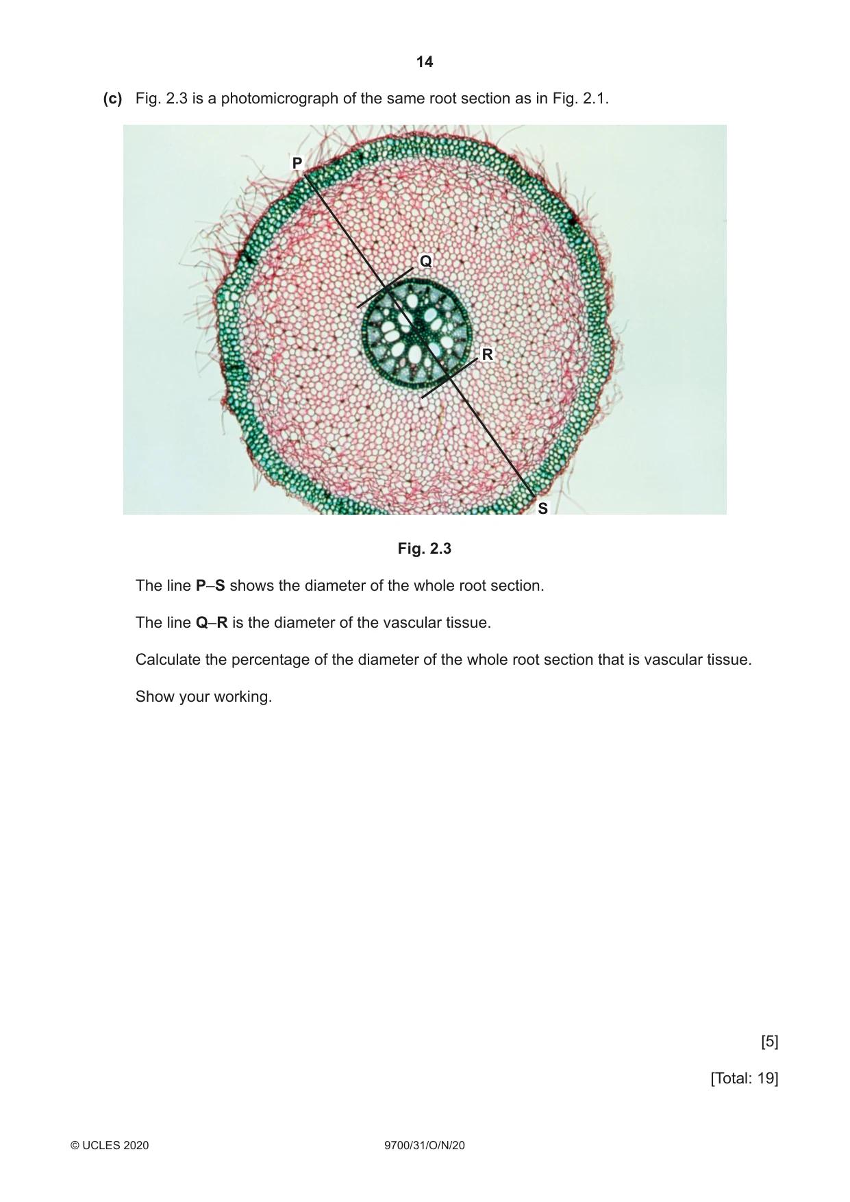 Cambridge A Level Biology 9700 2020 Oct/Nov Paper 3 · Variant 1 question paper, page 14 of 16