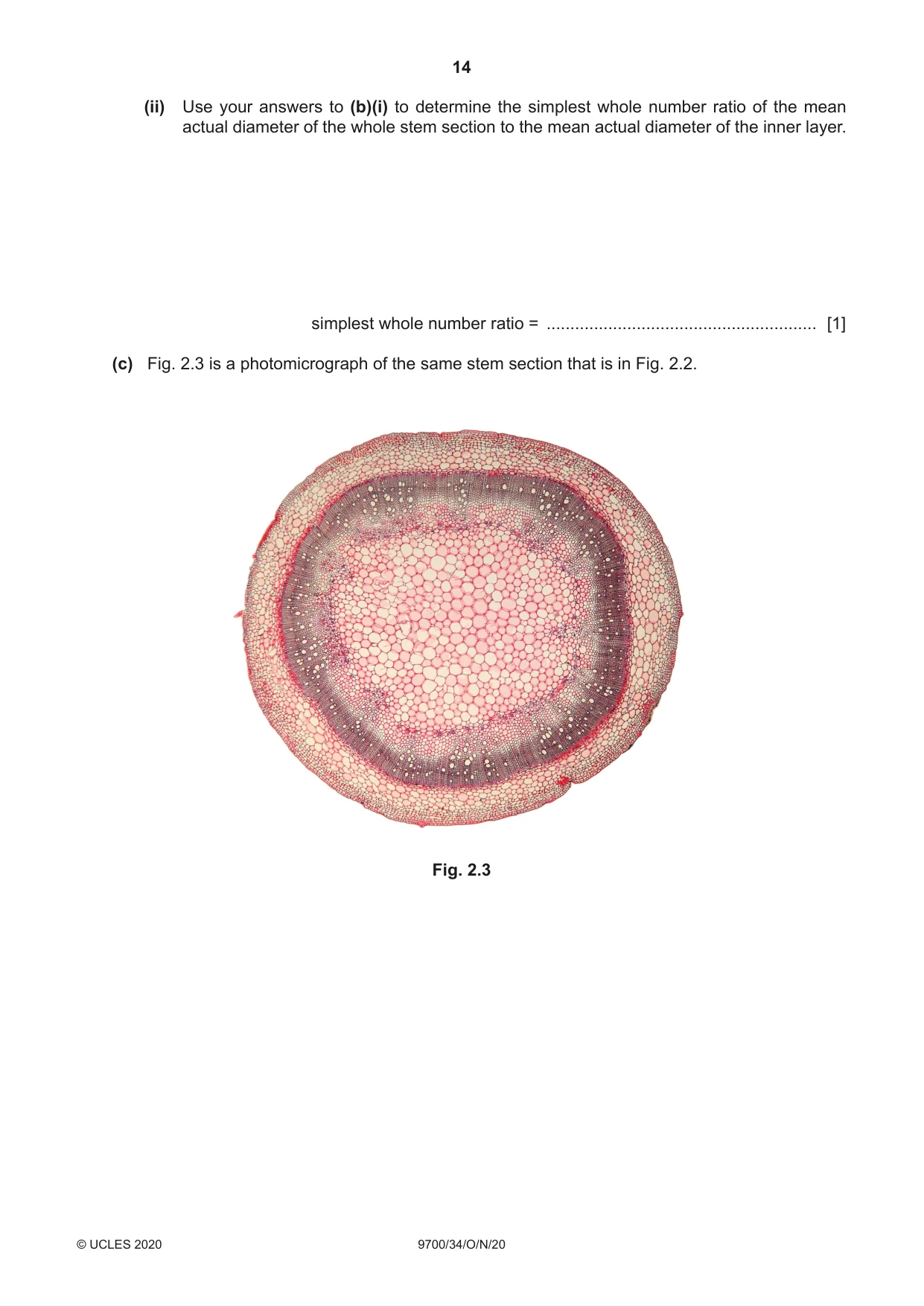 Cambridge A Level Biology 9700 2020 Oct/Nov Paper 3 · Variant 4 question paper, page 14 of 16