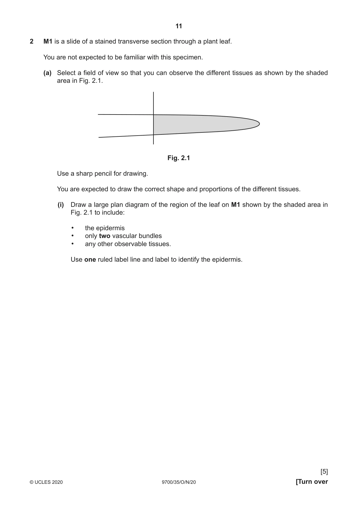 Cambridge A Level Biology 9700 2020 Oct/Nov Paper 3 · Variant 5 question paper, page 11 of 16
