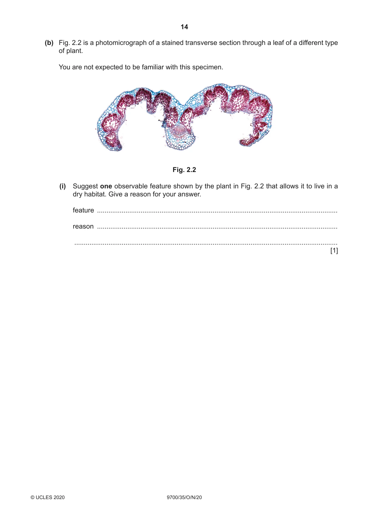 Cambridge A Level Biology 9700 2020 Oct/Nov Paper 3 · Variant 5 question paper, page 14 of 16