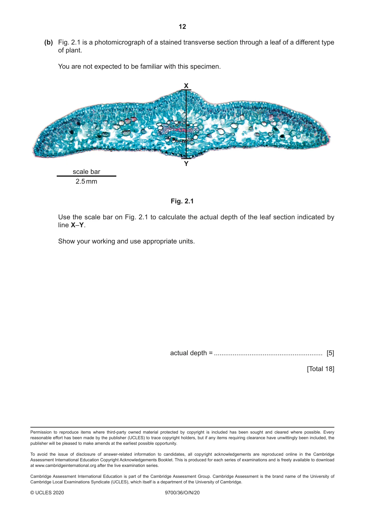 Cambridge A Level Biology 9700 2020 Oct/Nov Paper 3 · Variant 6 question paper, page 12 of 12
