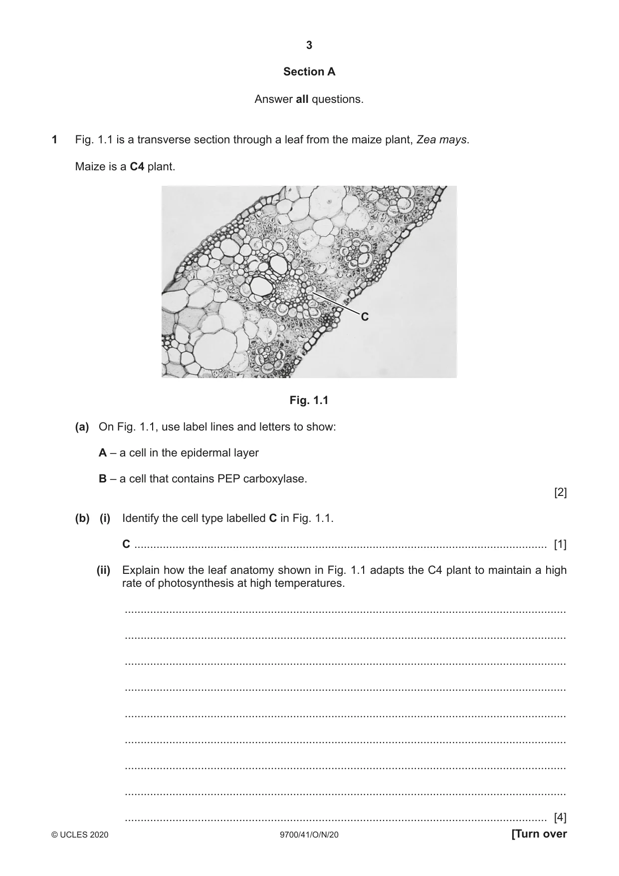 Cambridge A Level Biology 9700 2020 Oct/Nov Paper 4 · Variant 1 question paper, page 3 of 28
