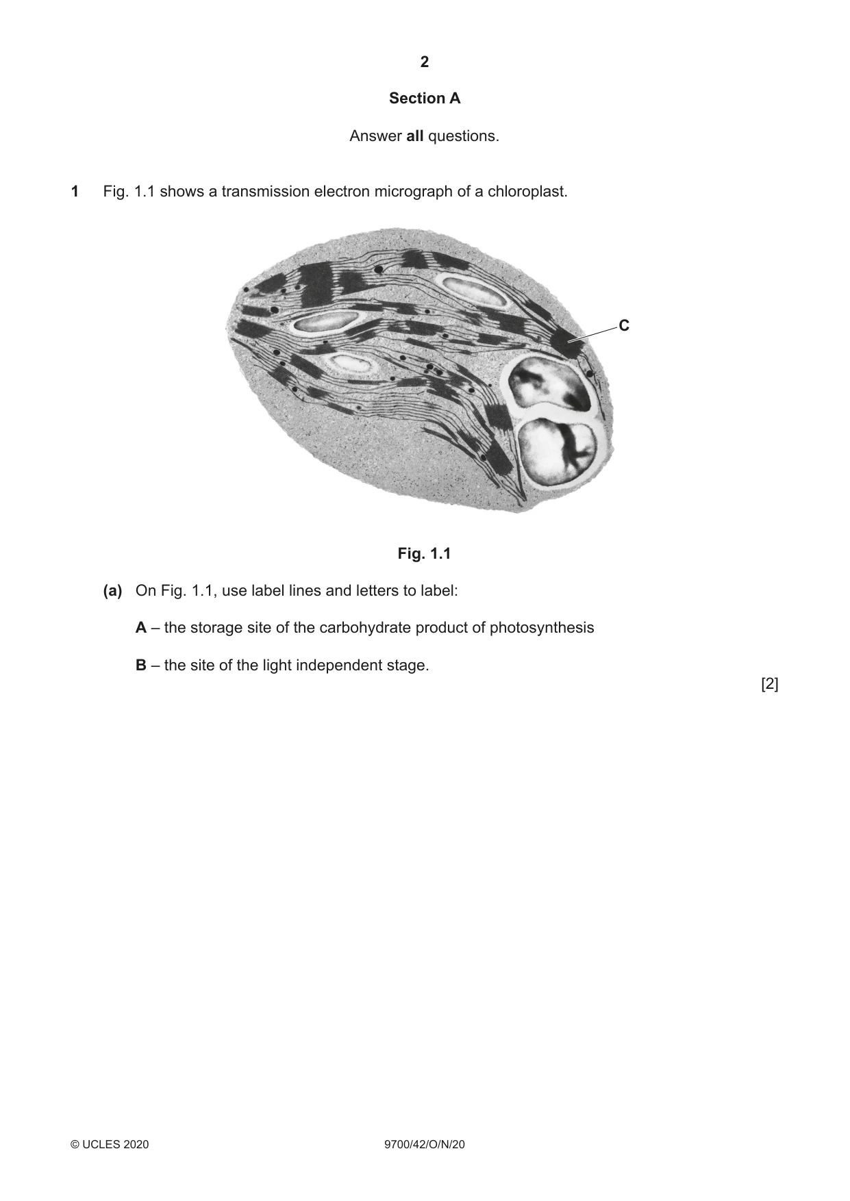 Cambridge A Level Biology 9700 2020 Oct/Nov Paper 4 · Variant 2 question paper, page 2 of 24