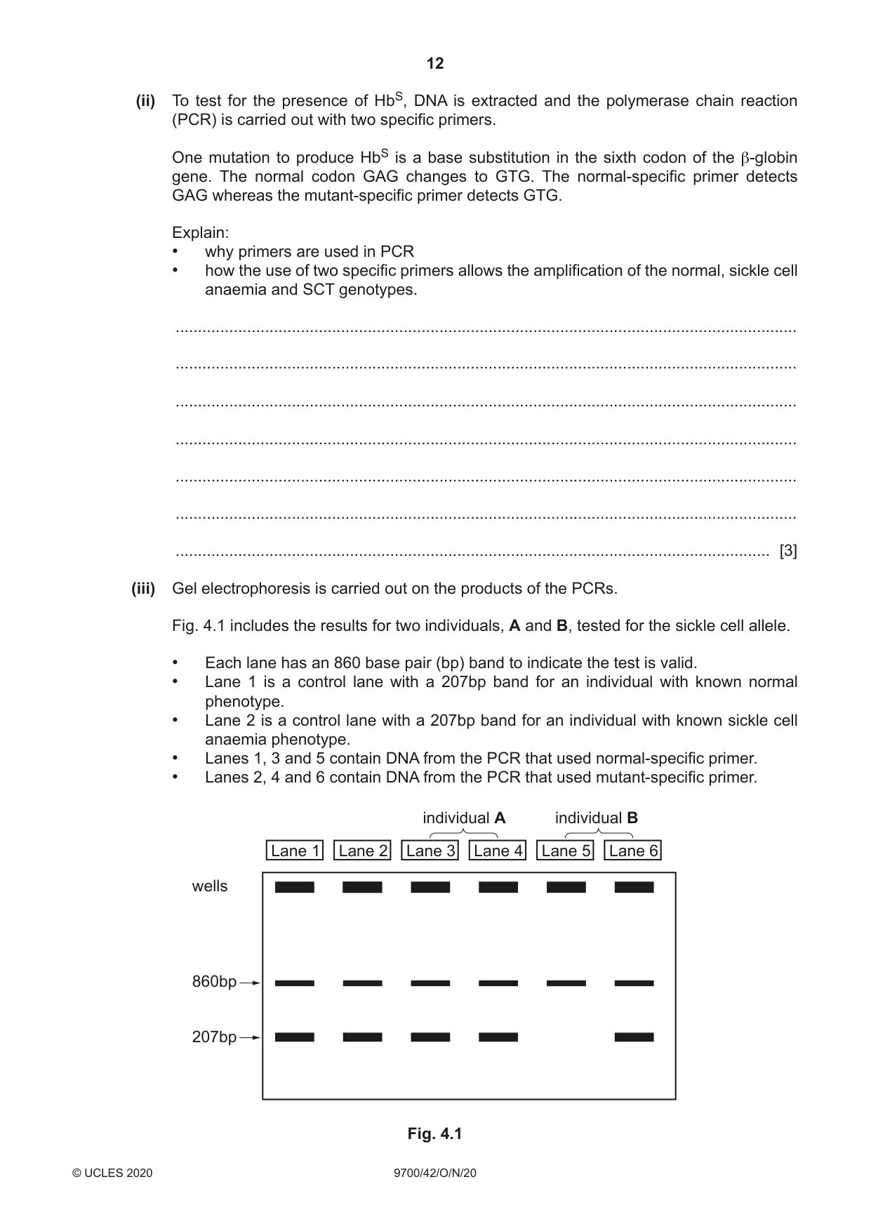 Cambridge A Level Biology 9700 2020 Oct/Nov Paper 4 · Variant 2 question paper, page 12 of 24