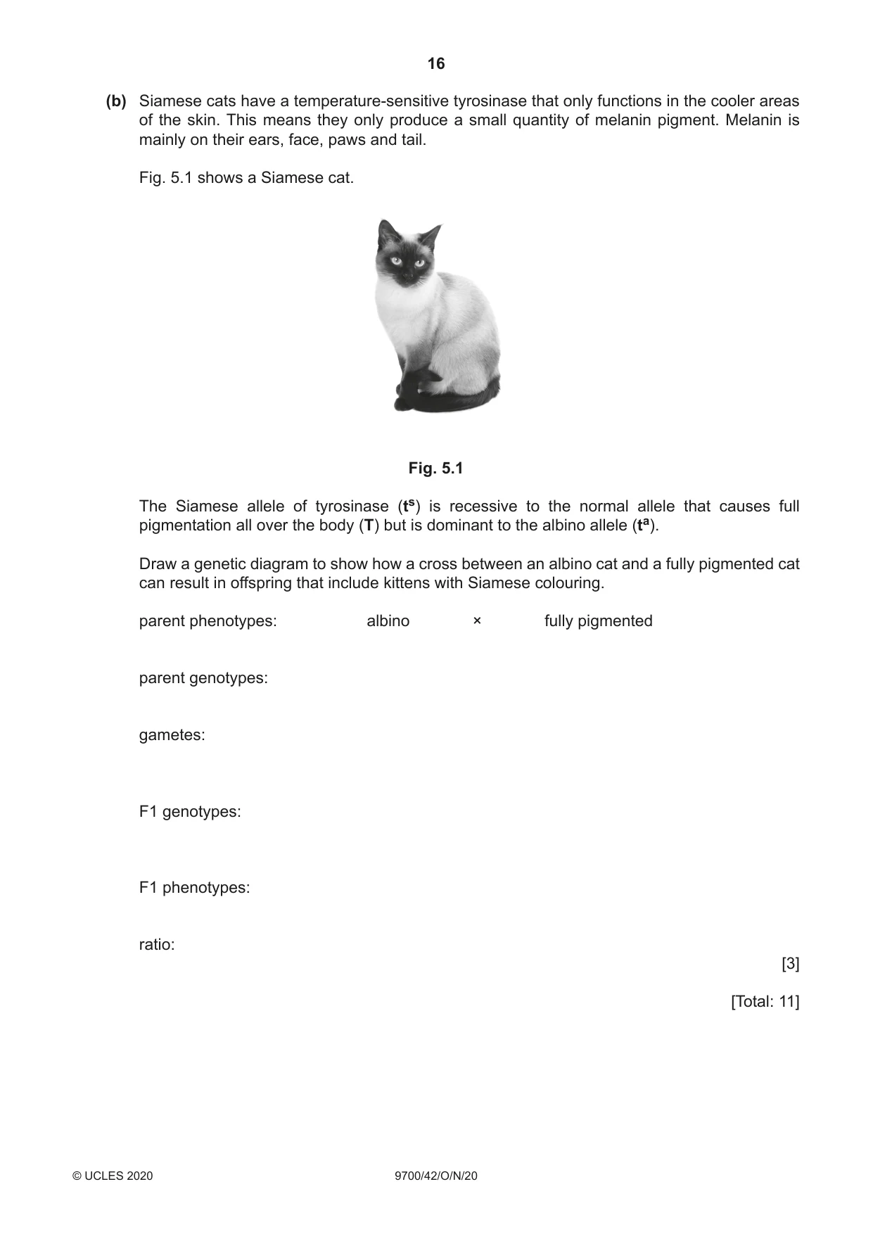 Cambridge A Level Biology 9700 2020 Oct/Nov Paper 4 · Variant 2 question paper, page 16 of 24