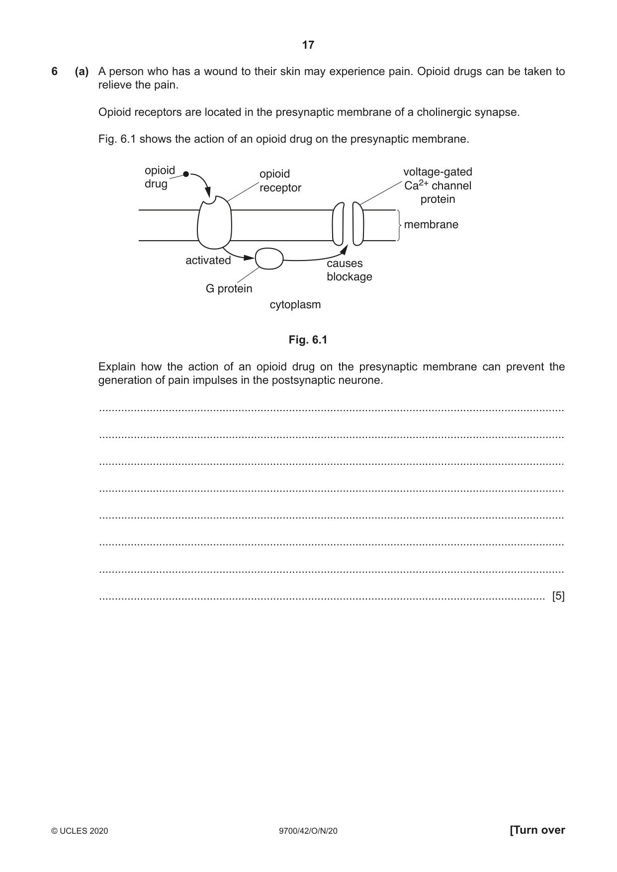 Cambridge A Level Biology 9700 2020 Oct/Nov Paper 4 · Variant 2 question paper, page 17 of 24
