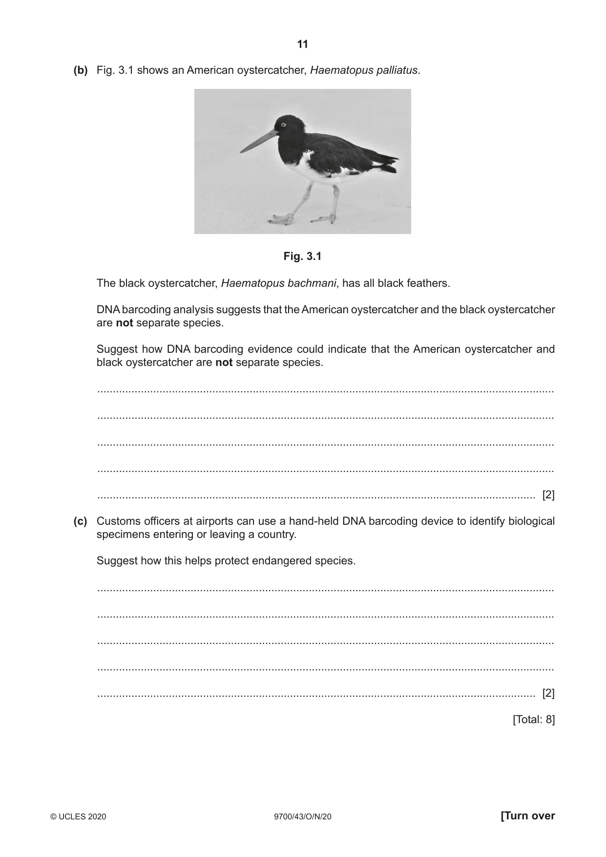 Cambridge A Level Biology 9700 2020 Oct/Nov Paper 4 · Variant 3 question paper, page 11 of 28