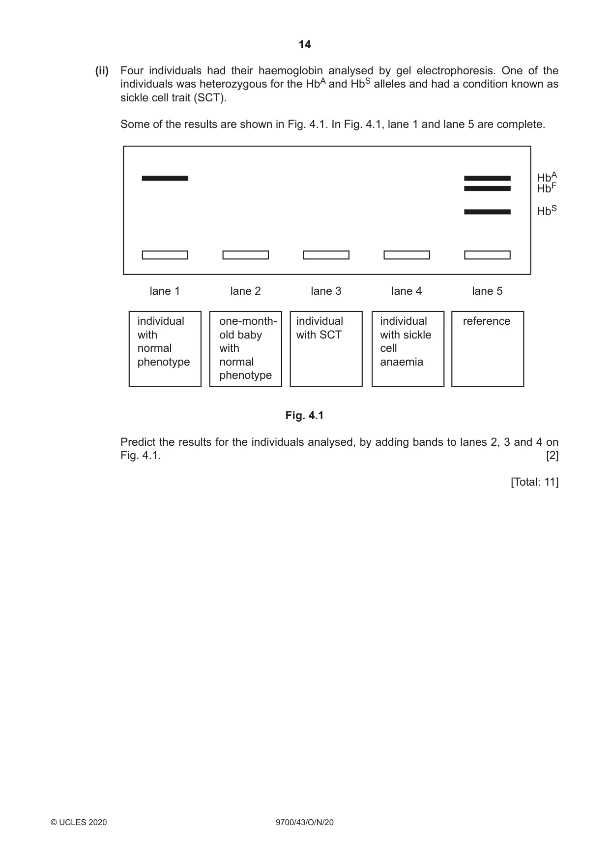 Cambridge A Level Biology 9700 2020 Oct/Nov Paper 4 · Variant 3 question paper, page 14 of 28