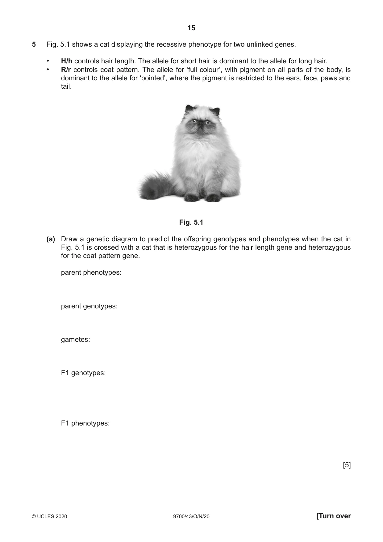 Cambridge A Level Biology 9700 2020 Oct/Nov Paper 4 · Variant 3 question paper, page 15 of 28