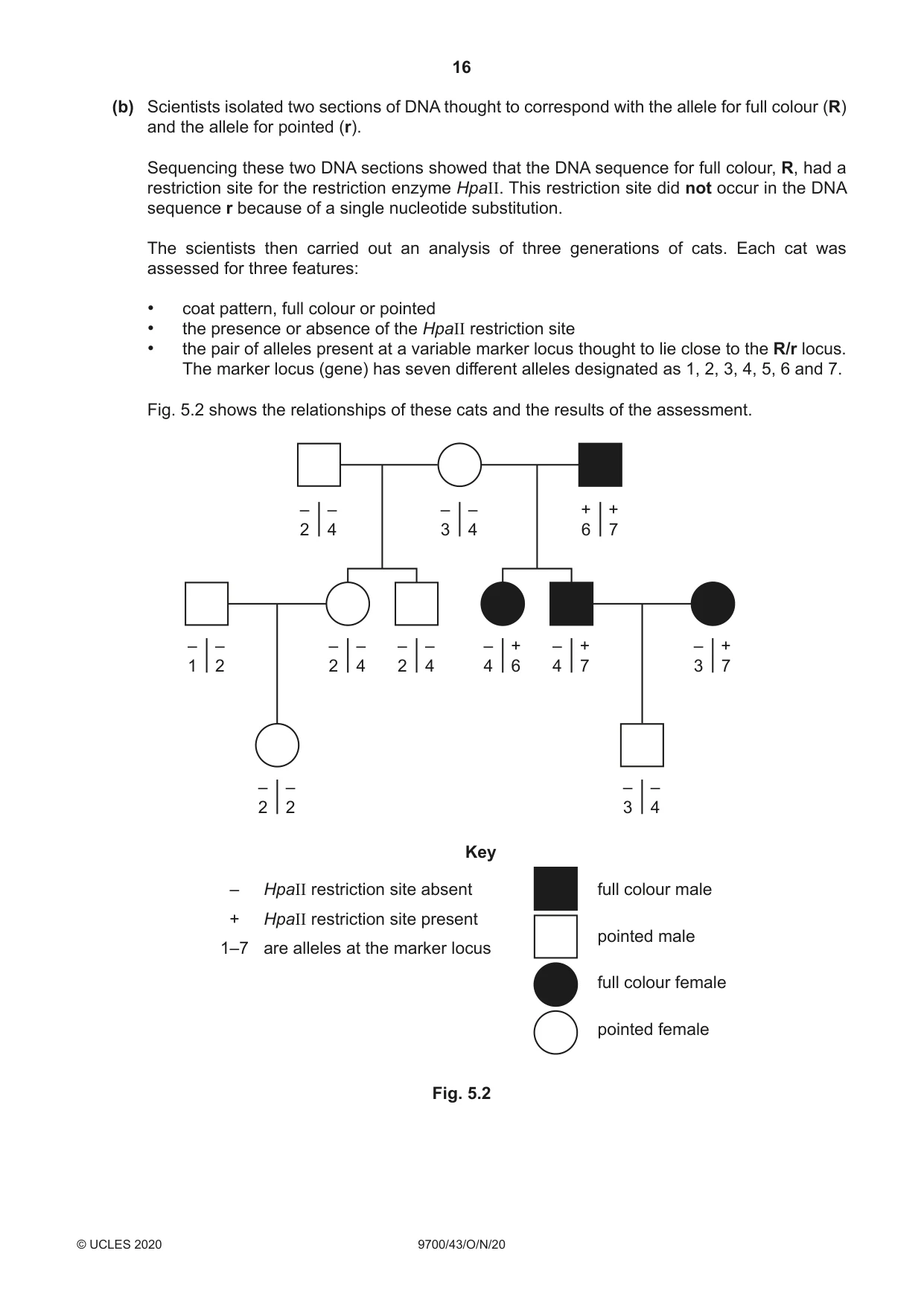 Cambridge A Level Biology 9700 2020 Oct/Nov Paper 4 · Variant 3 question paper, page 16 of 28