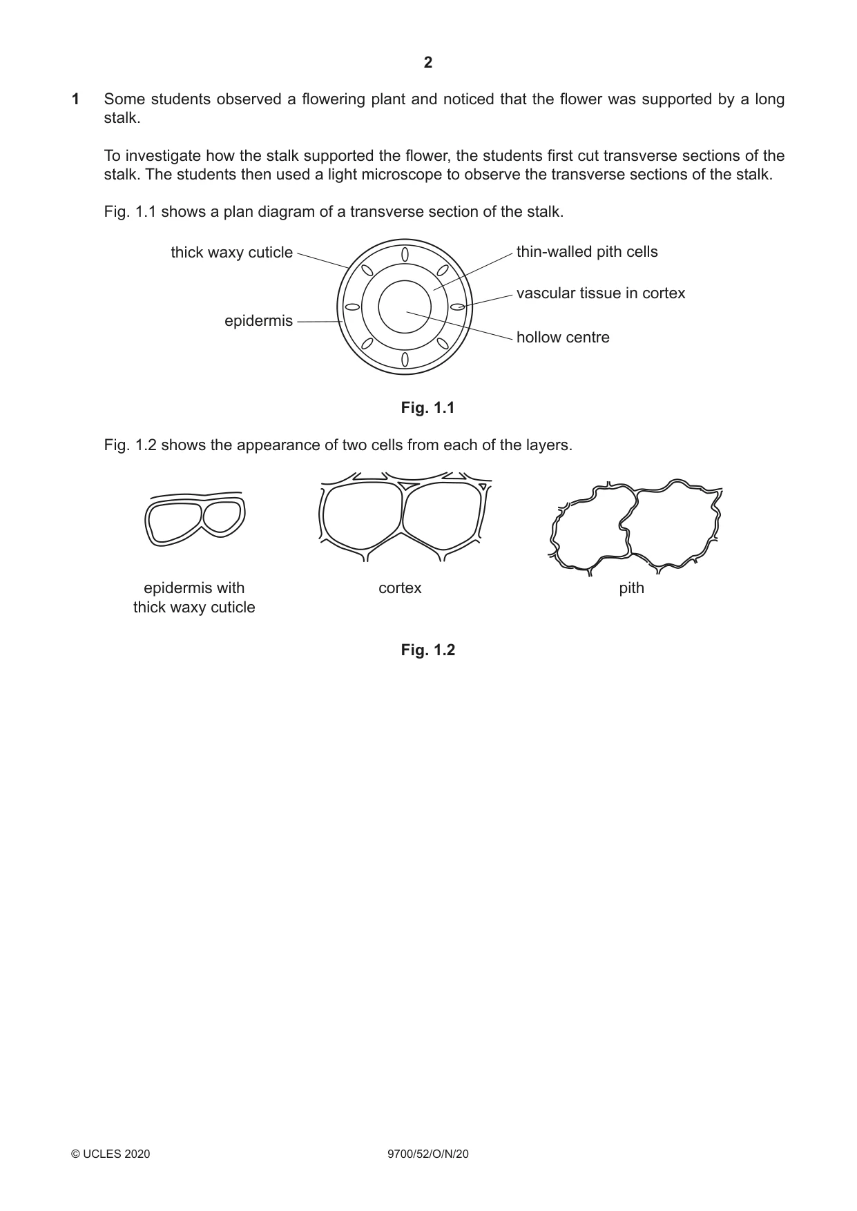Cambridge A Level Biology 9700 2020 Oct/Nov Paper 5 · Variant 2 question paper, page 2 of 12