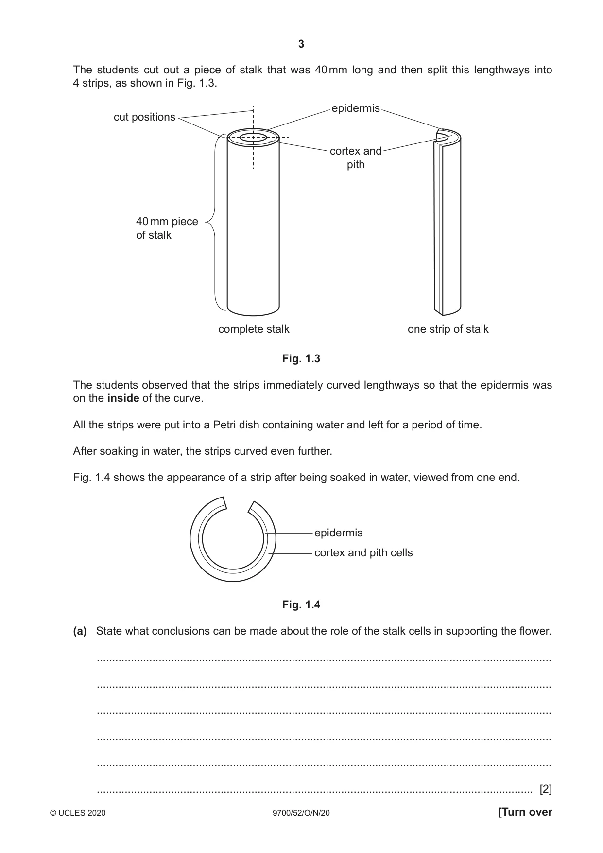 Cambridge A Level Biology 9700 2020 Oct/Nov Paper 5 · Variant 2 question paper, page 3 of 12
