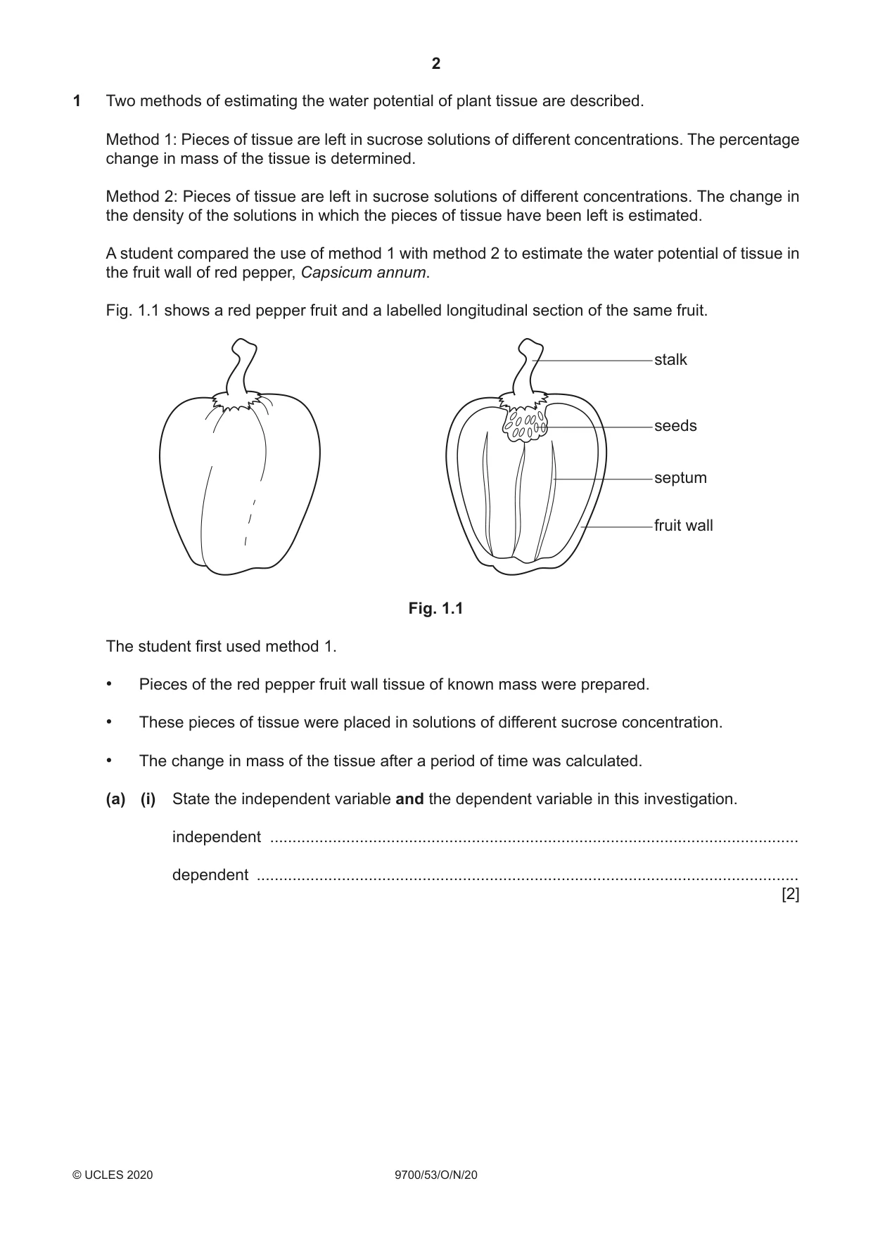 Cambridge A Level Biology 9700 2020 Oct/Nov Paper 5 · Variant 3 question paper, page 2 of 12