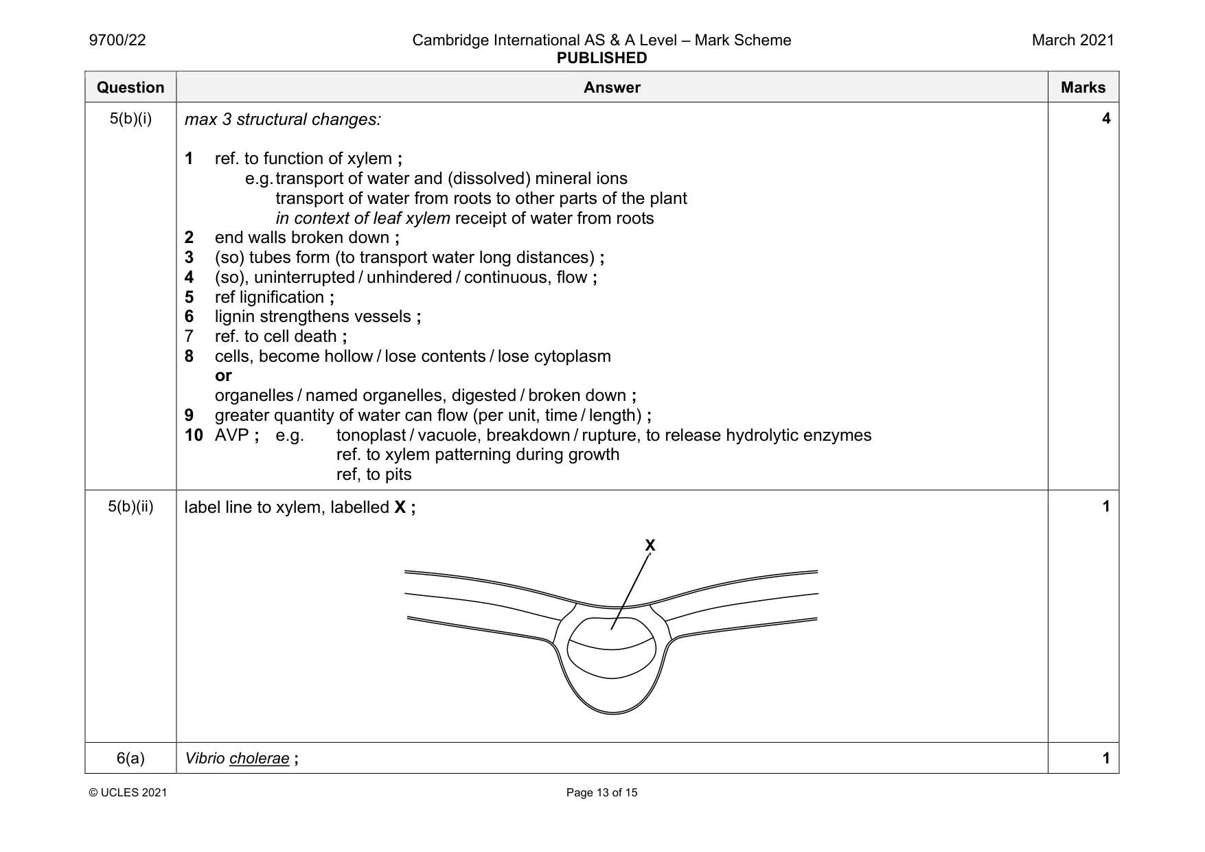 Mark scheme, page 13 of 15