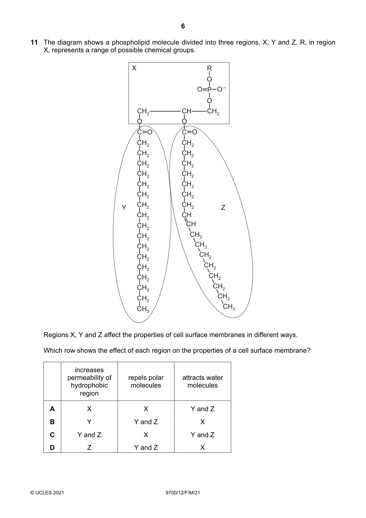 Cambridge A Level Biology 9700 2021 Feb/March Paper 1 · Variant 2 question paper, page 6 of 16