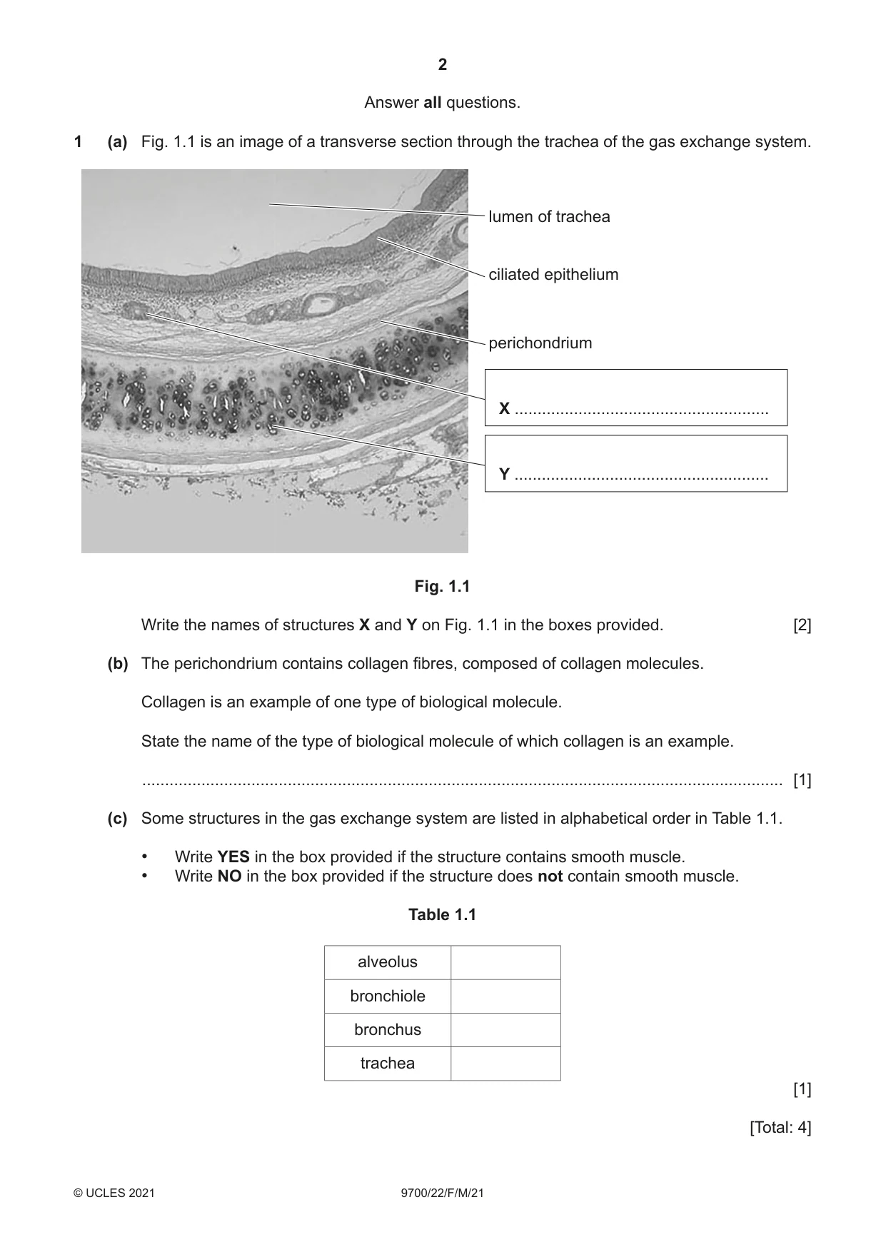 Cambridge A Level Biology 9700 2021 Feb/March Paper 2 · Variant 2 question paper, page 2 of 16