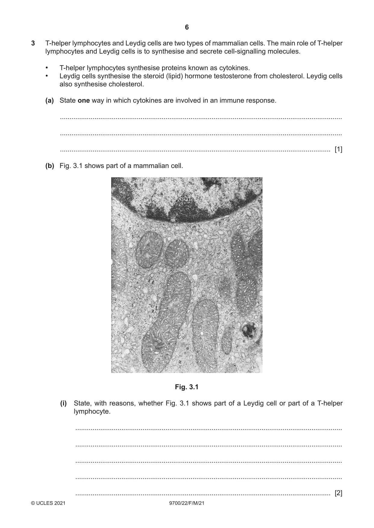 Cambridge A Level Biology 9700 2021 Feb/March Paper 2 · Variant 2 question paper, page 6 of 16