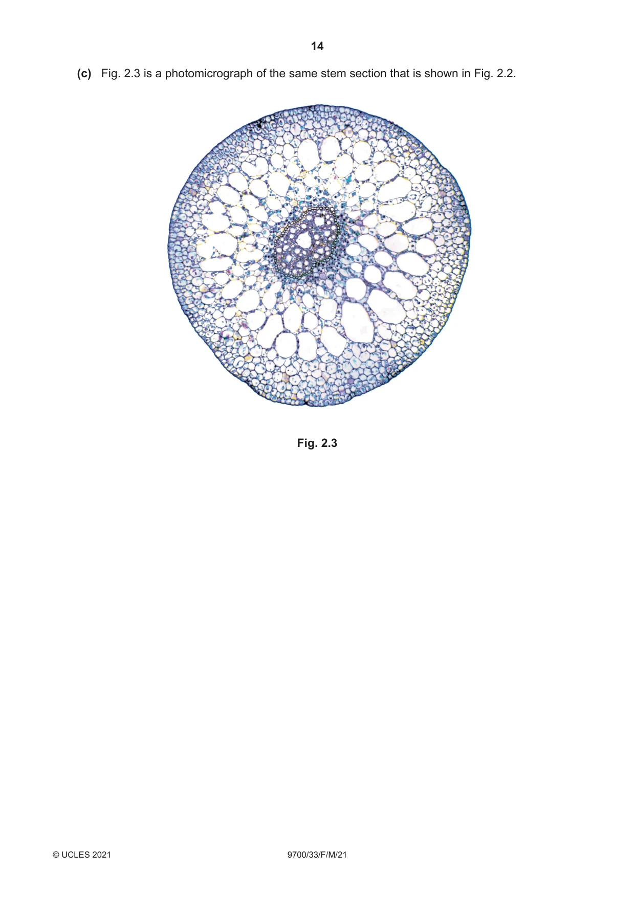 Cambridge A Level Biology 9700 2021 Feb/March Paper 3 · Variant 3 question paper, page 14 of 16