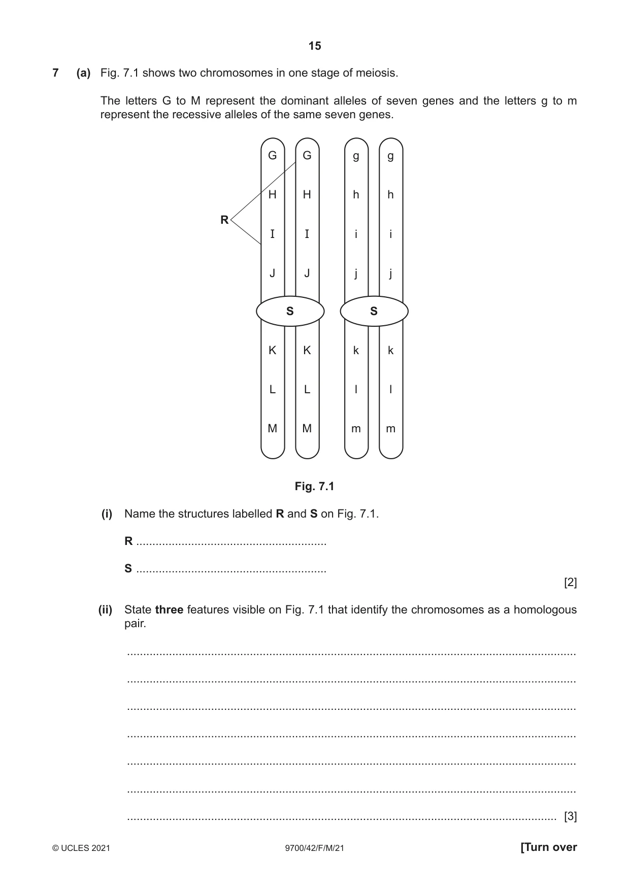 Cambridge A Level Biology 9700 2021 Feb/March Paper 4 · Variant 2 question paper, page 15 of 28