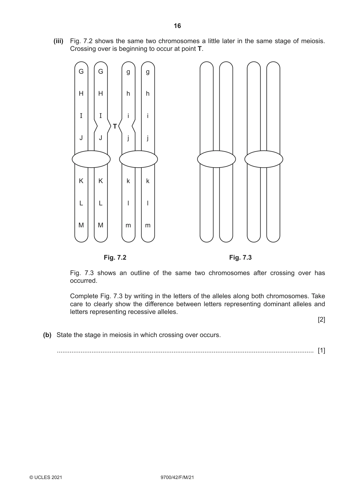 Cambridge A Level Biology 9700 2021 Feb/March Paper 4 · Variant 2 question paper, page 16 of 28