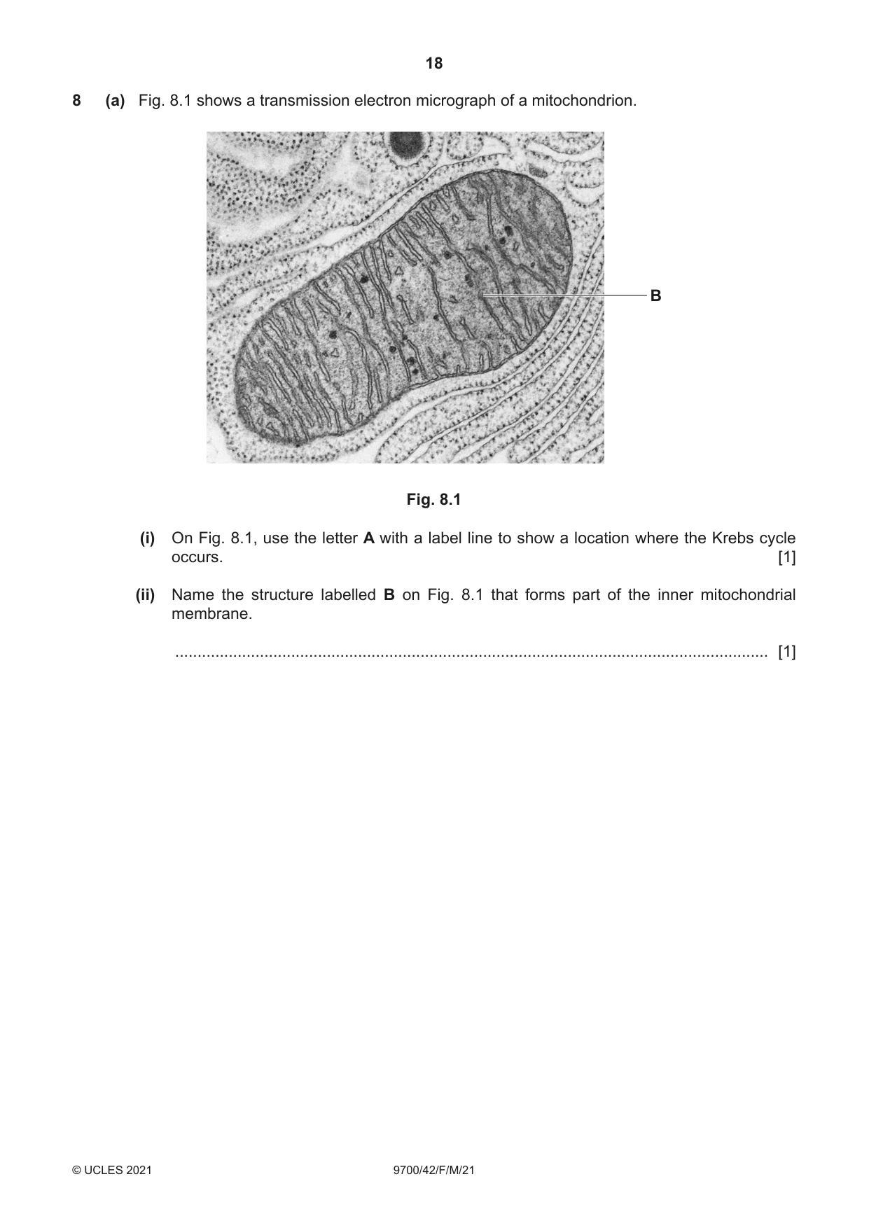 Cambridge A Level Biology 9700 2021 Feb/March Paper 4 · Variant 2 question paper, page 18 of 28