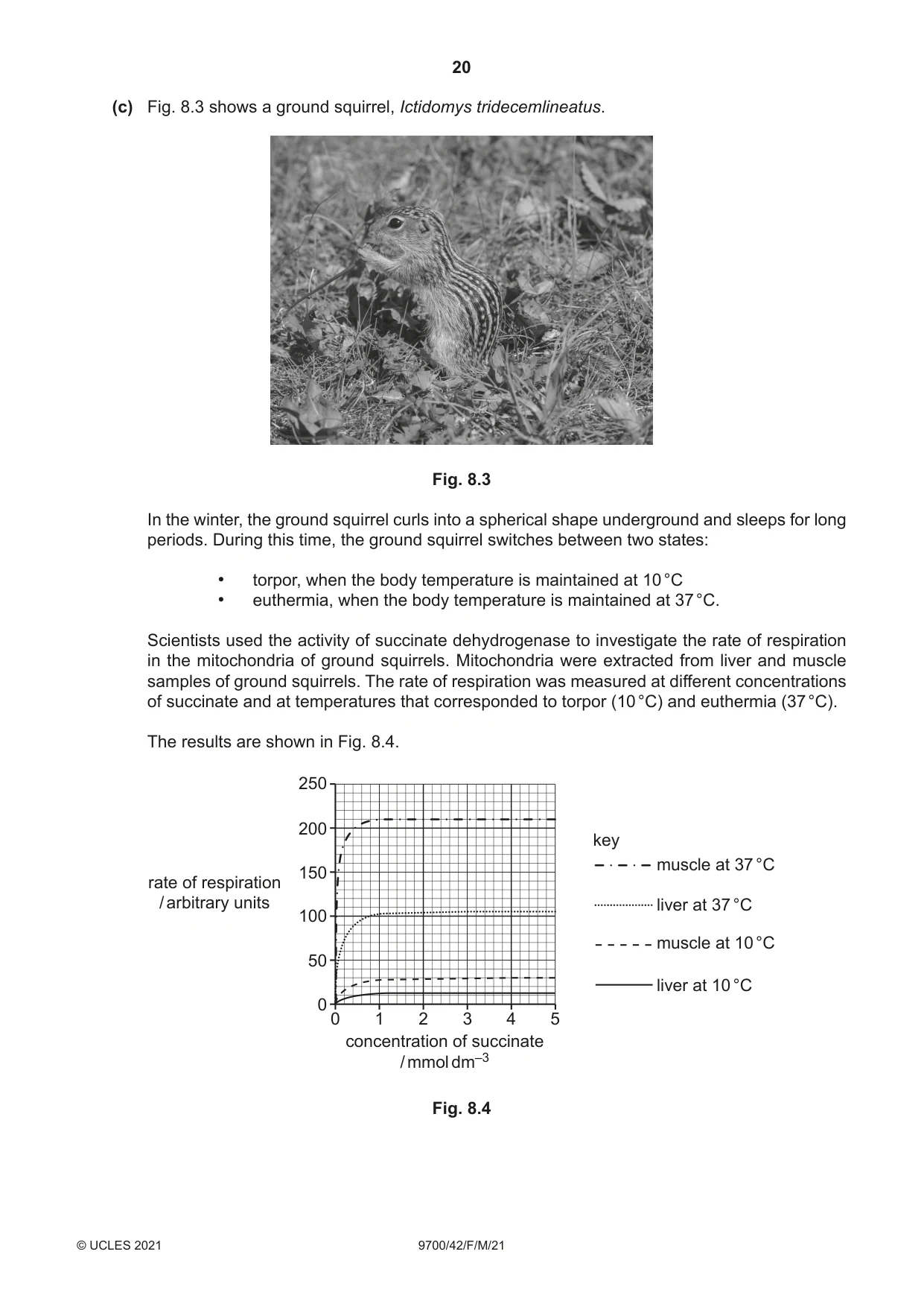 Cambridge A Level Biology 9700 2021 Feb/March Paper 4 · Variant 2 question paper, page 20 of 28