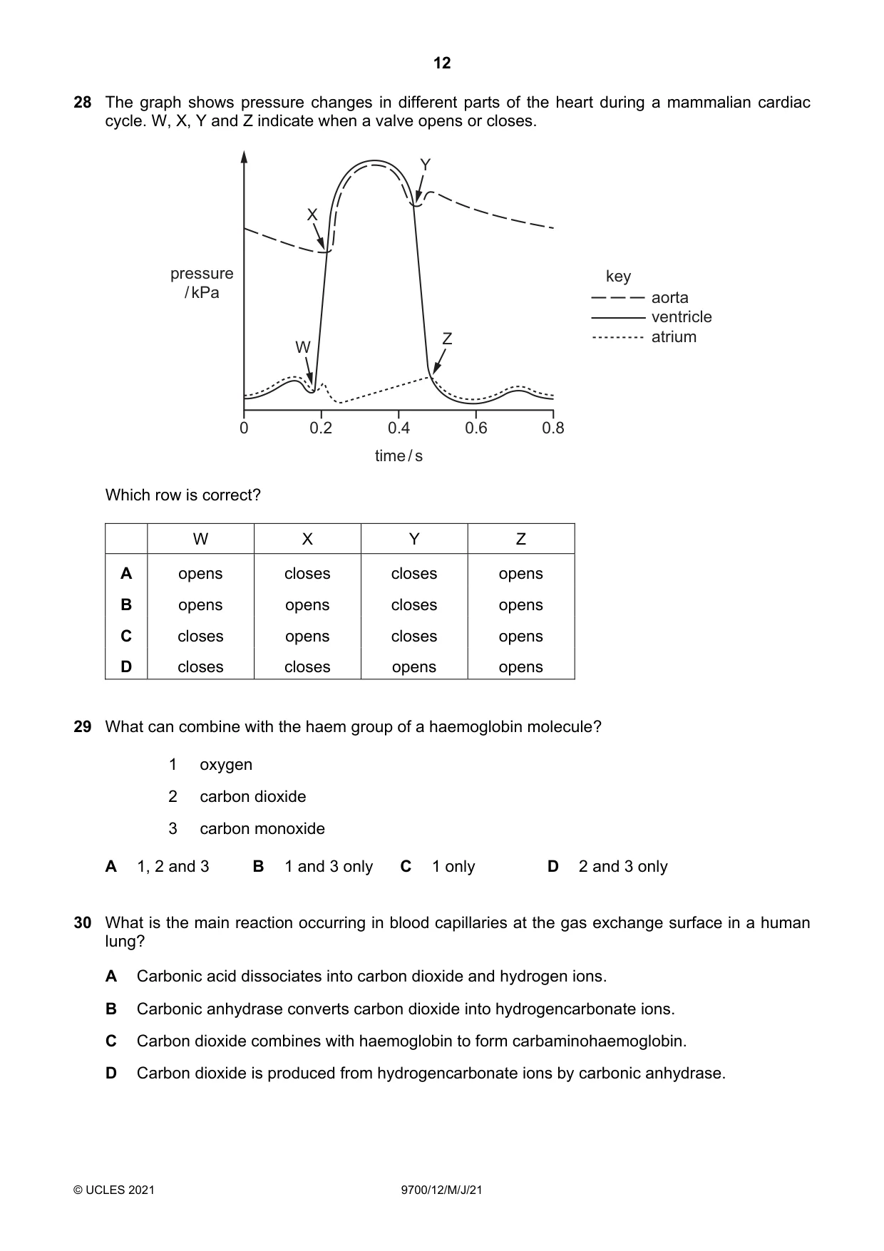 Cambridge A Level Biology 9700 2021 May/June Paper 1 · Variant 2 question paper, page 12 of 16