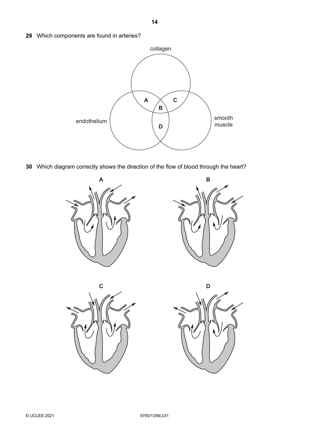 Cambridge A Level Biology 9700 2021 May/June Paper 1 · Variant 3 question paper, page 14 of 20