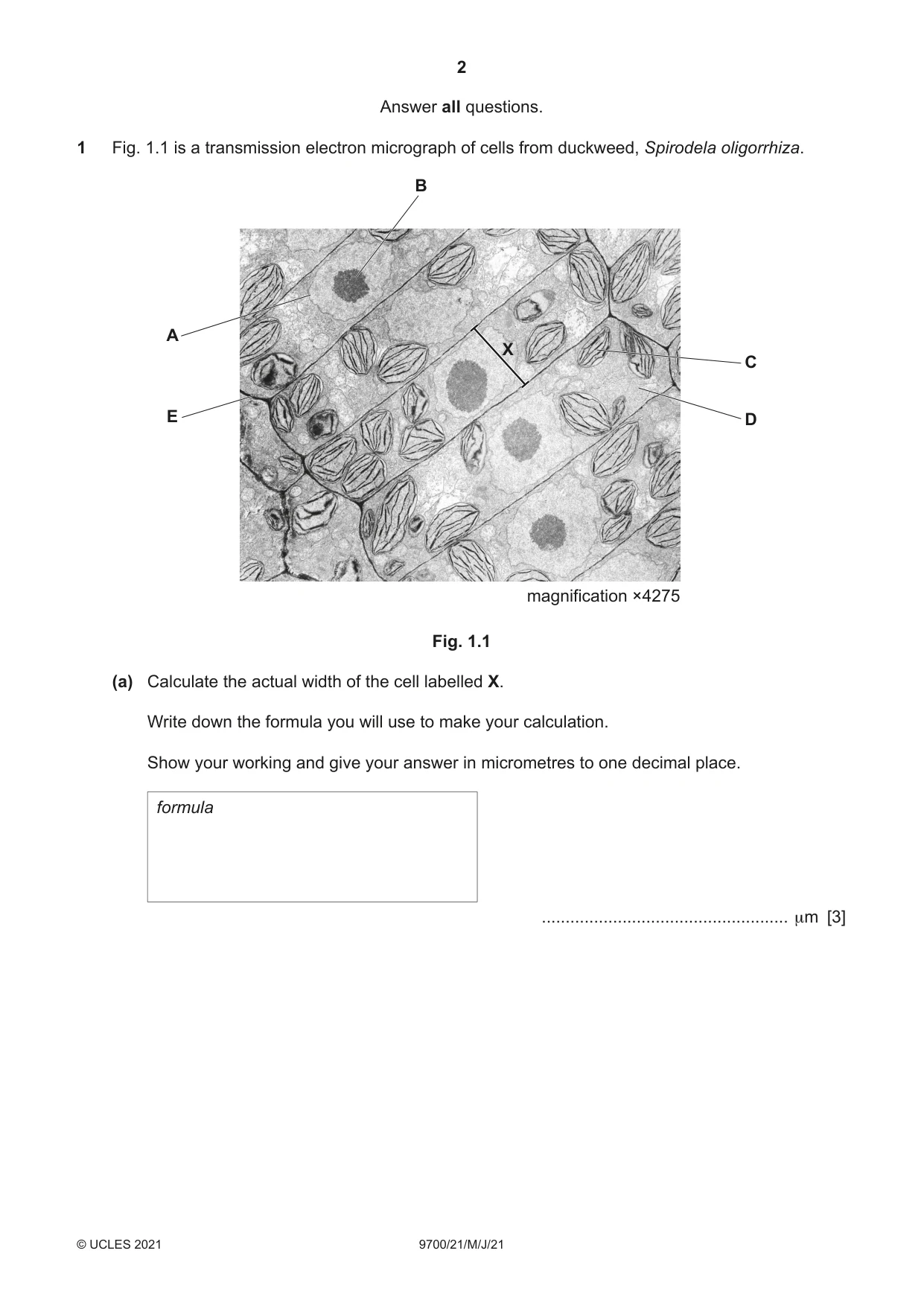 Cambridge A Level Biology 9700 2021 May/June Paper 2 · Variant 1 question paper, page 2 of 16