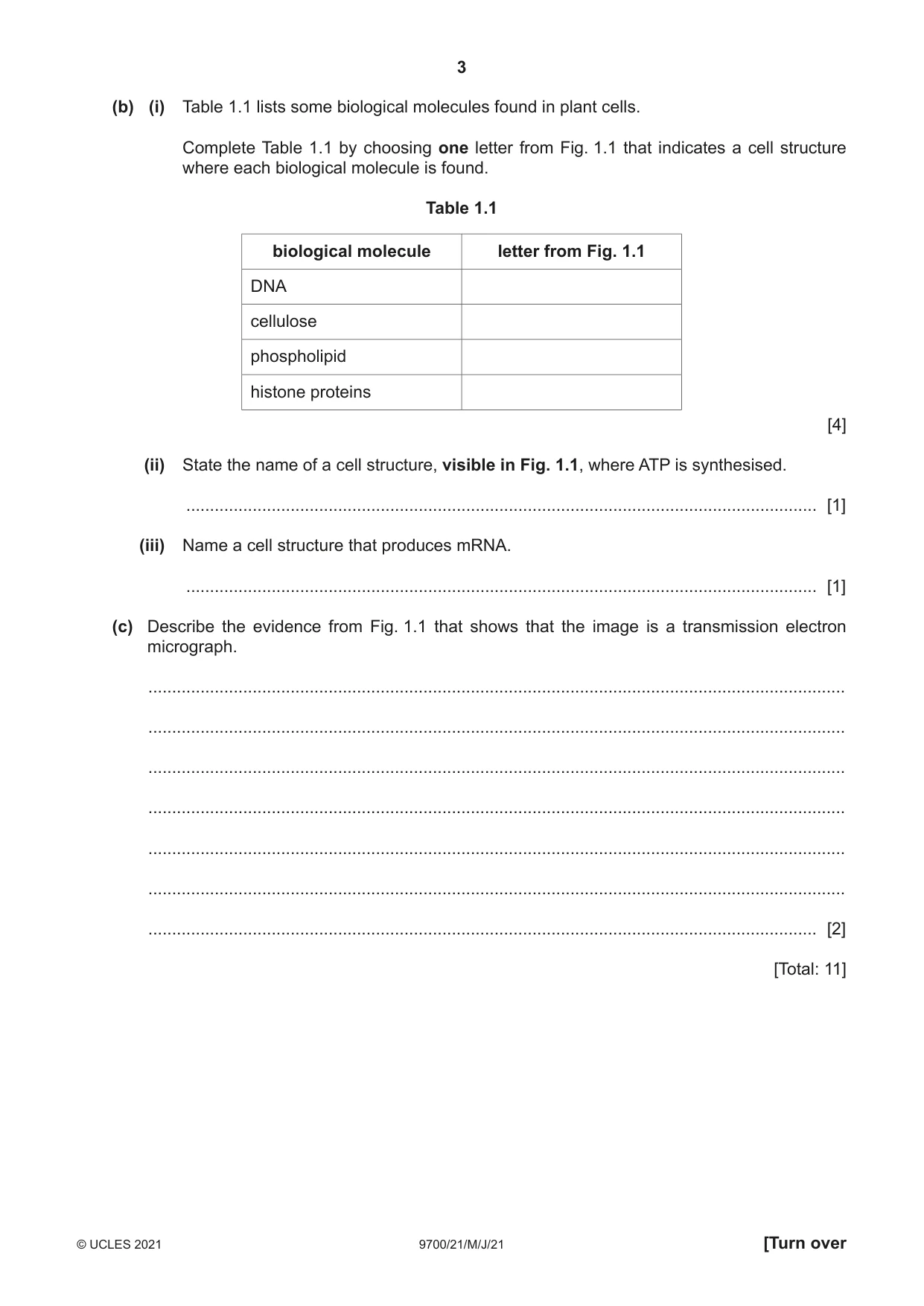 Cambridge A Level Biology 9700 2021 May/June Paper 2 · Variant 1 question paper, page 3 of 16