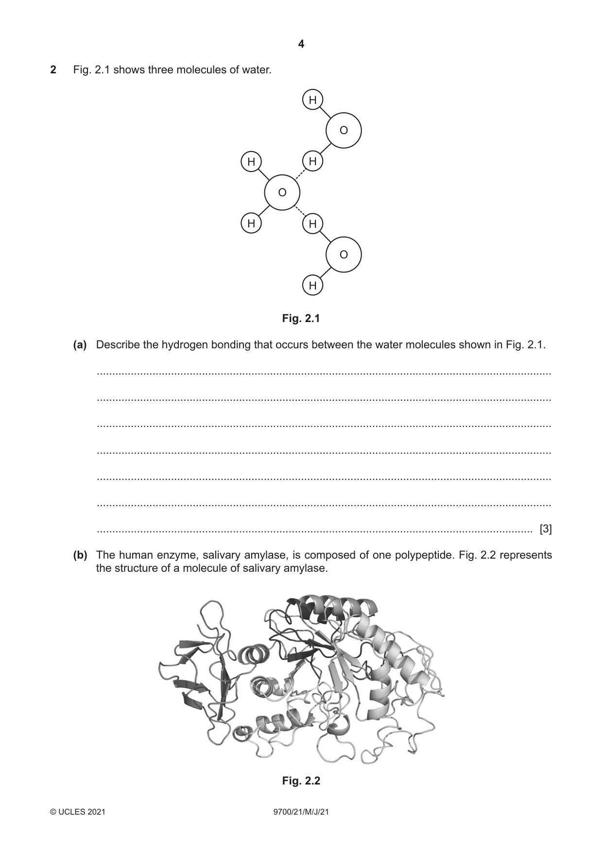 Cambridge A Level Biology 9700 2021 May/June Paper 2 · Variant 1 question paper, page 4 of 16