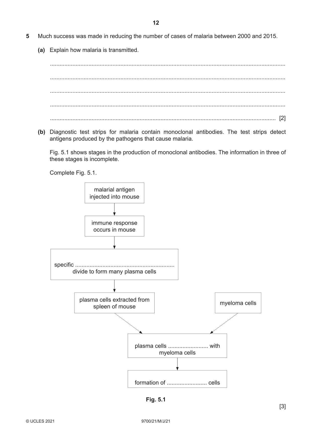 Cambridge A Level Biology 9700 2021 May/June Paper 2 · Variant 1 question paper, page 12 of 16