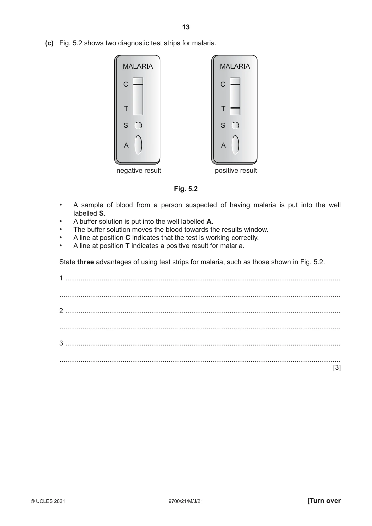 Cambridge A Level Biology 9700 2021 May/June Paper 2 · Variant 1 question paper, page 13 of 16