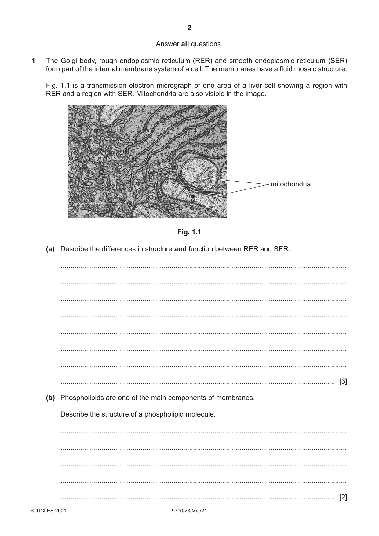 Cambridge A Level Biology 9700 2021 May/June Paper 2 · Variant 3 question paper, page 2 of 16