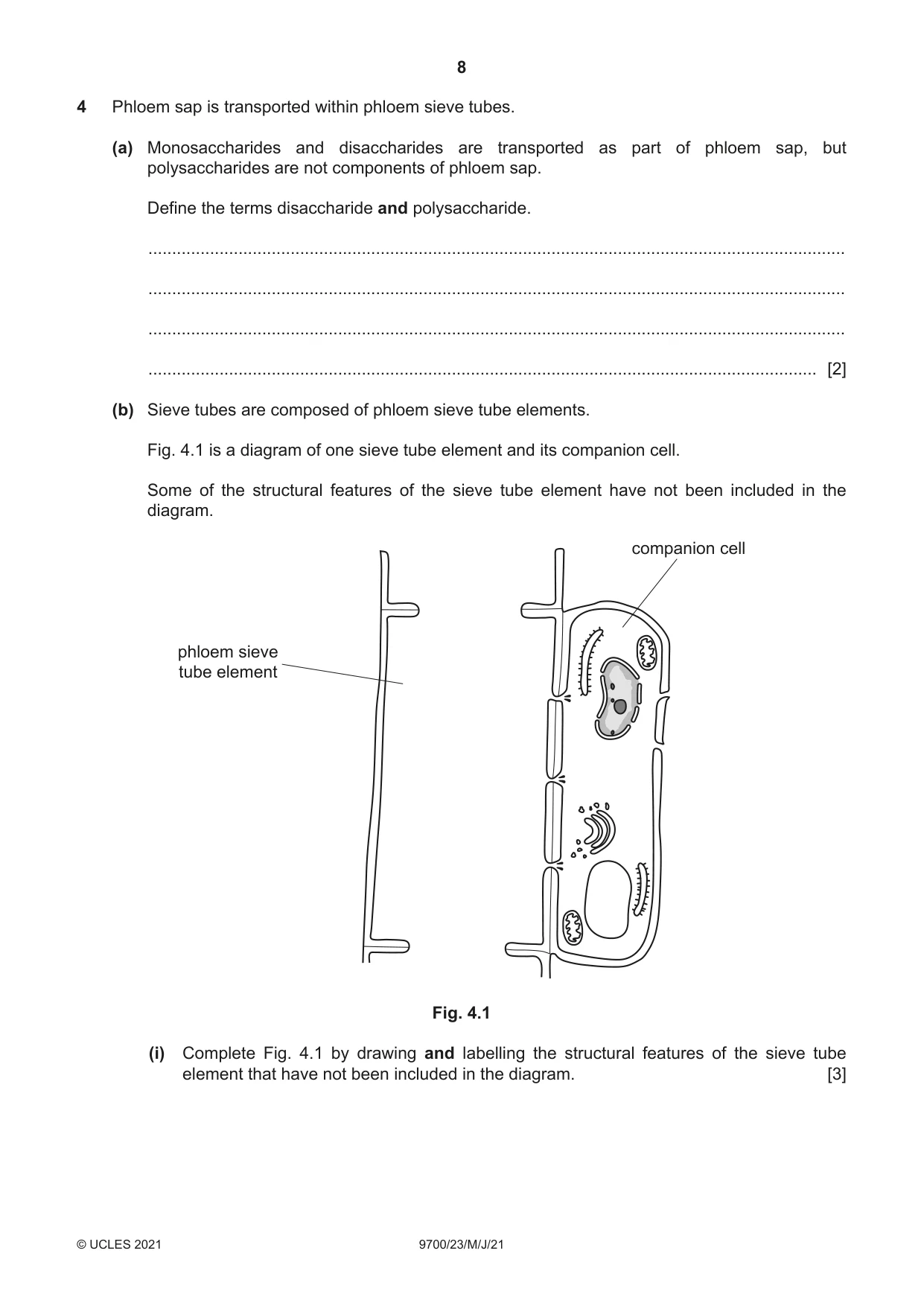 Cambridge A Level Biology 9700 2021 May/June Paper 2 · Variant 3 question paper, page 8 of 16