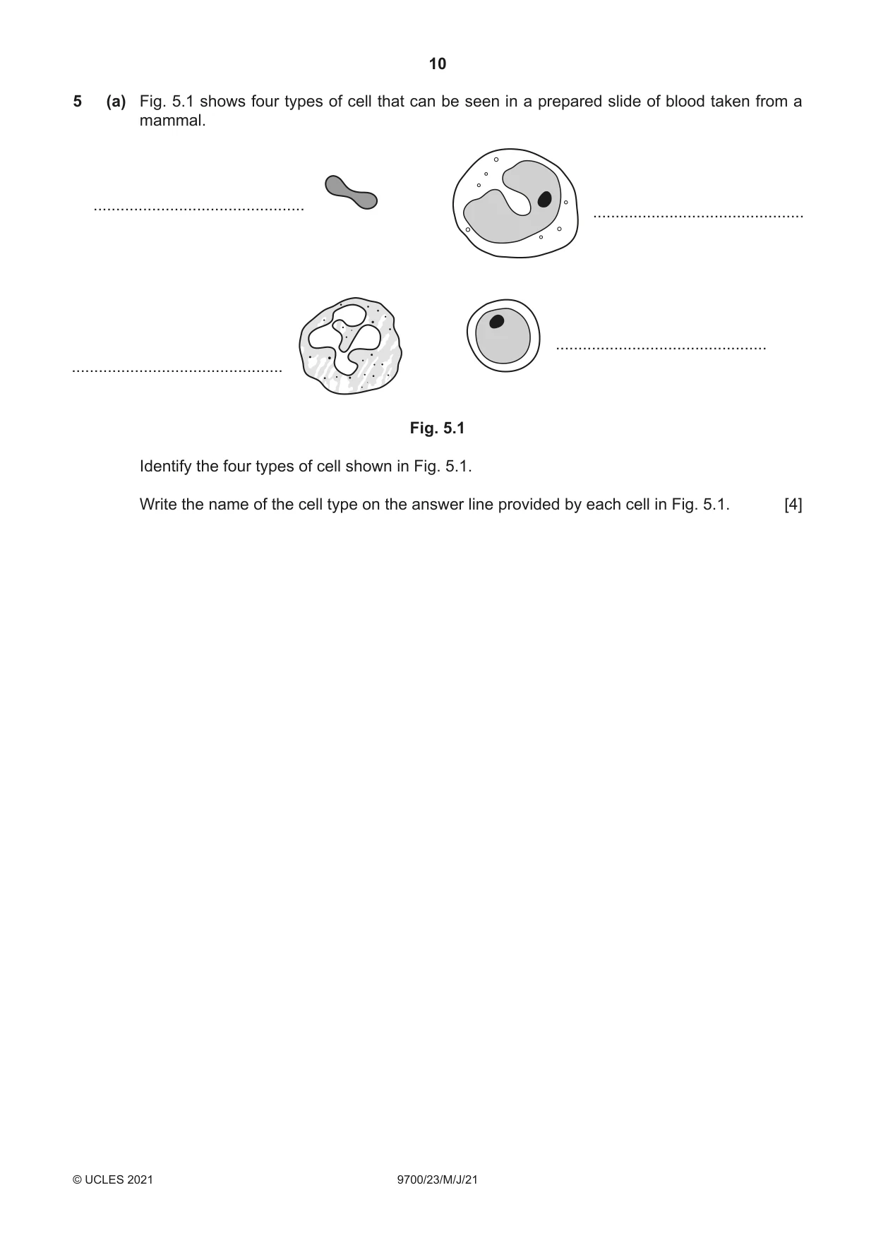 Cambridge A Level Biology 9700 2021 May/June Paper 2 · Variant 3 question paper, page 10 of 16
