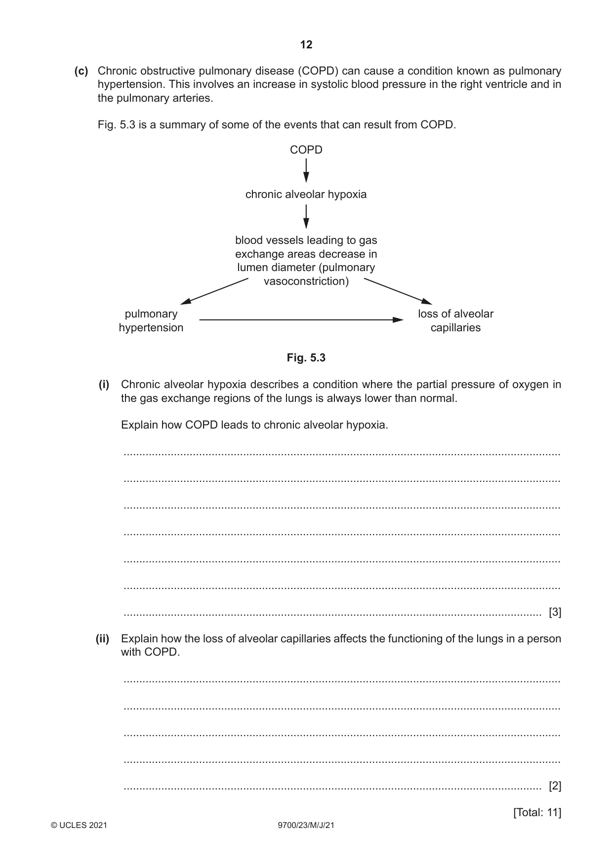 Cambridge A Level Biology 9700 2021 May/June Paper 2 · Variant 3 question paper, page 12 of 16