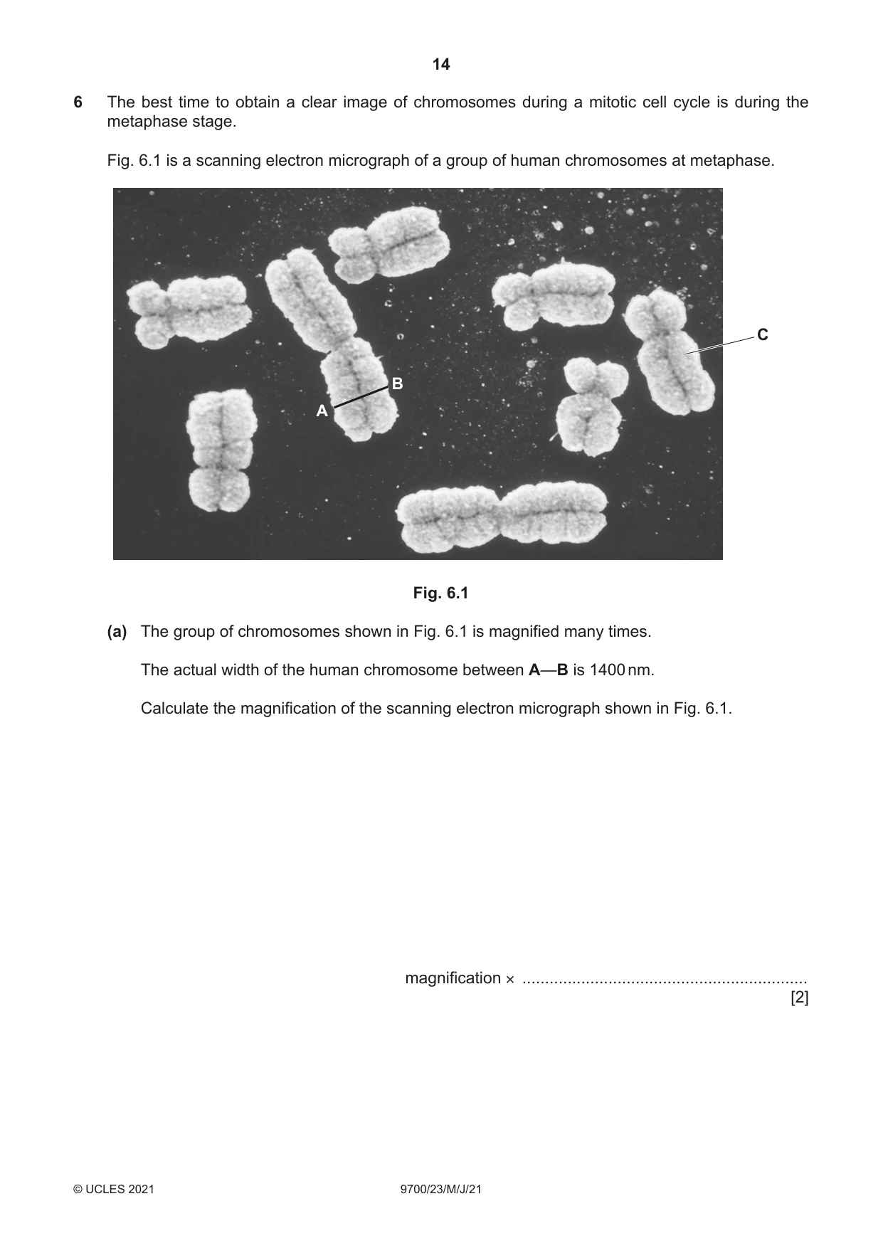 Cambridge A Level Biology 9700 2021 May/June Paper 2 · Variant 3 question paper, page 14 of 16
