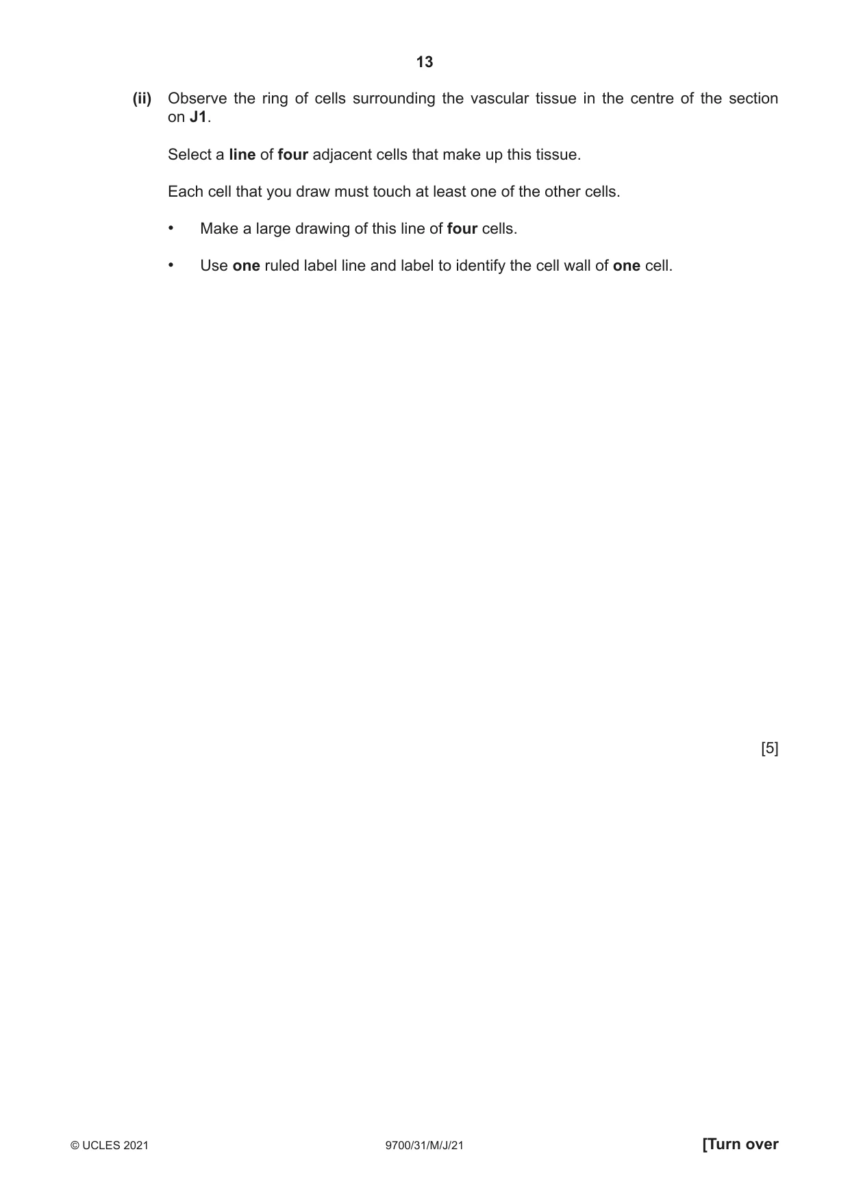 Cambridge A Level Biology 9700 2021 May/June Paper 3 · Variant 1 question paper, page 13 of 20