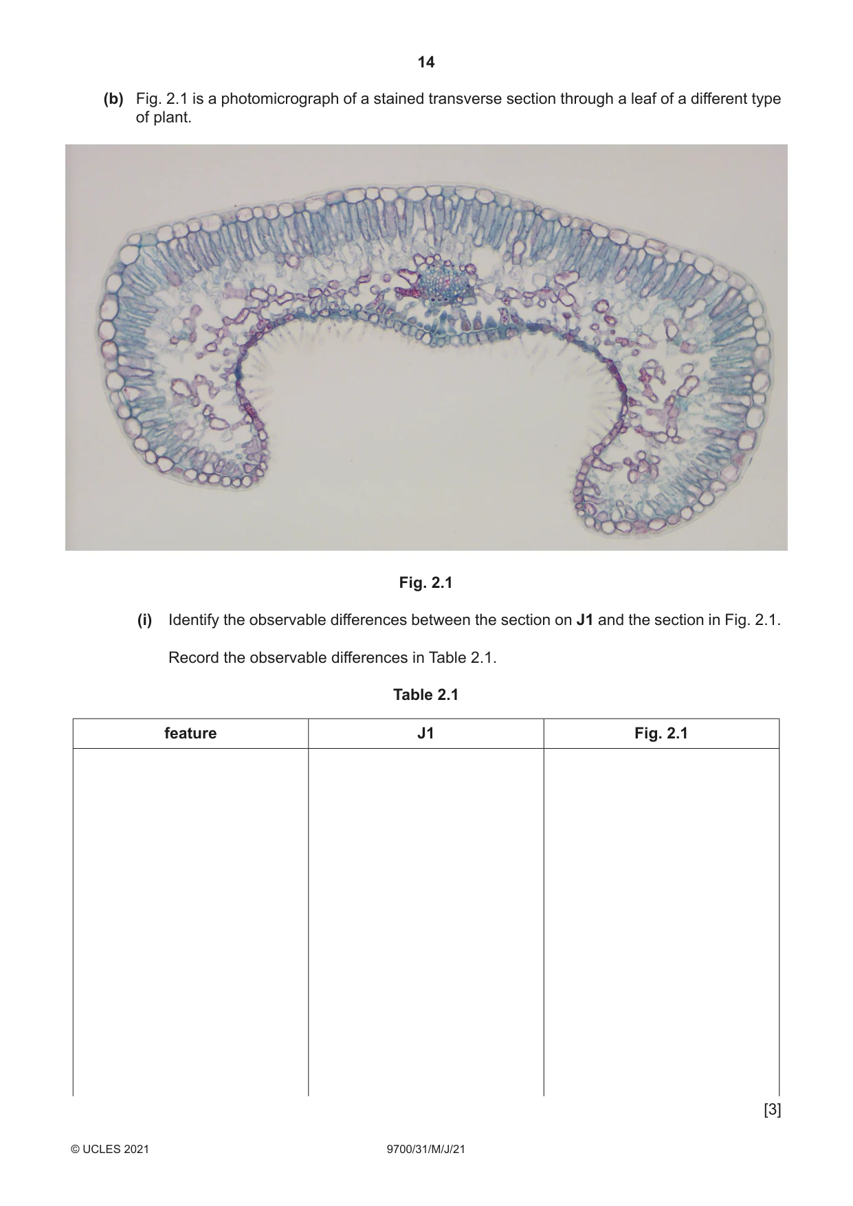 Cambridge A Level Biology 9700 2021 May/June Paper 3 · Variant 1 question paper, page 14 of 20